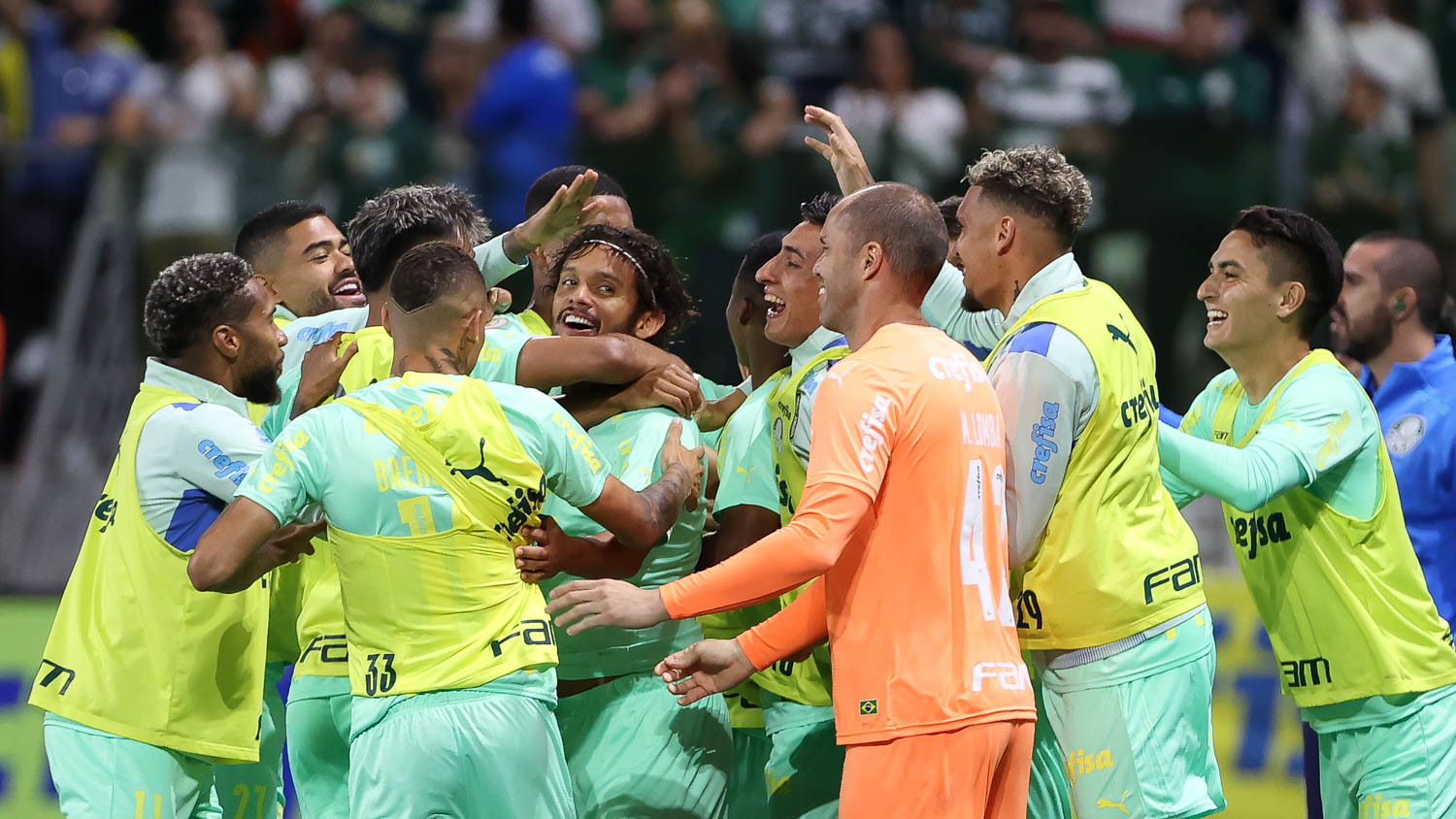 Palmeiras - Primeiro e Único Hendecacampeão Brasileiro