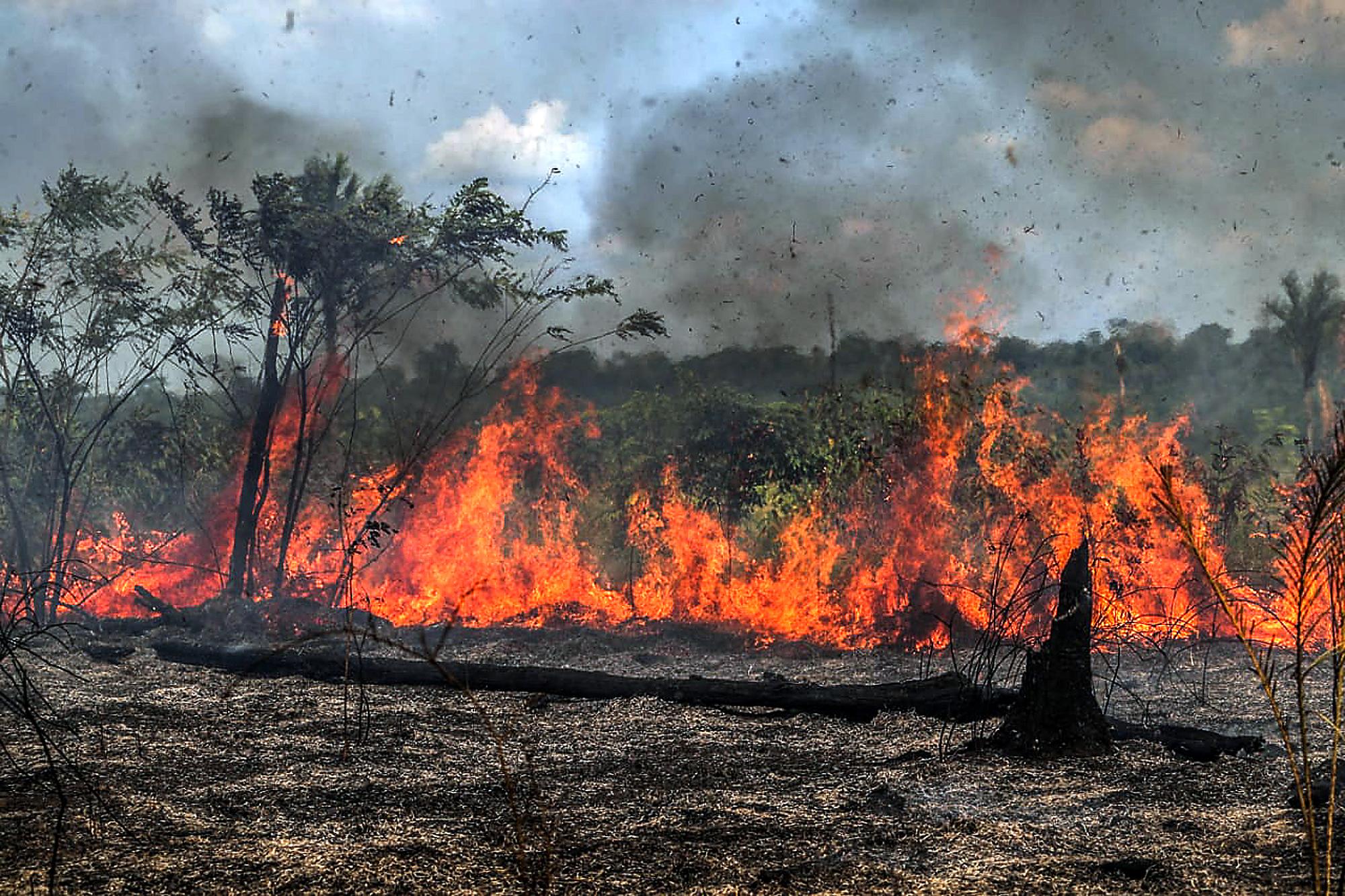 El Niño pode potencializar fogo na Amazônia, alertam cientistas - Amazônia  Real