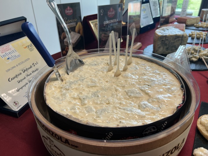 Lote maravilhoso de Gorgonzola de Colher., gorgonzola