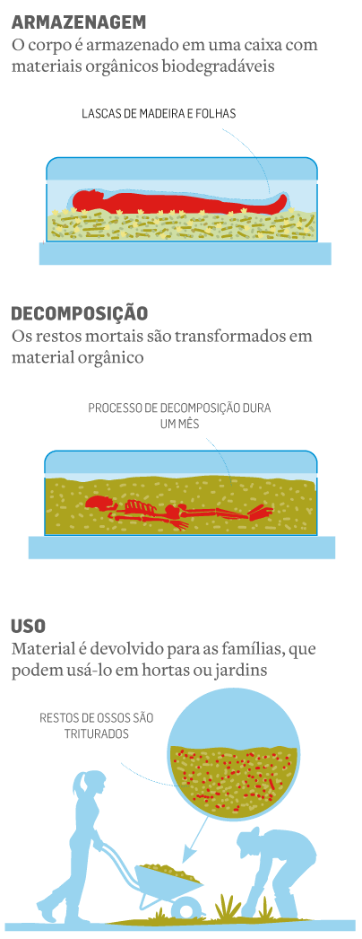 Fotos De Decomposicao Humana Crânio Em Decomposição No Solo