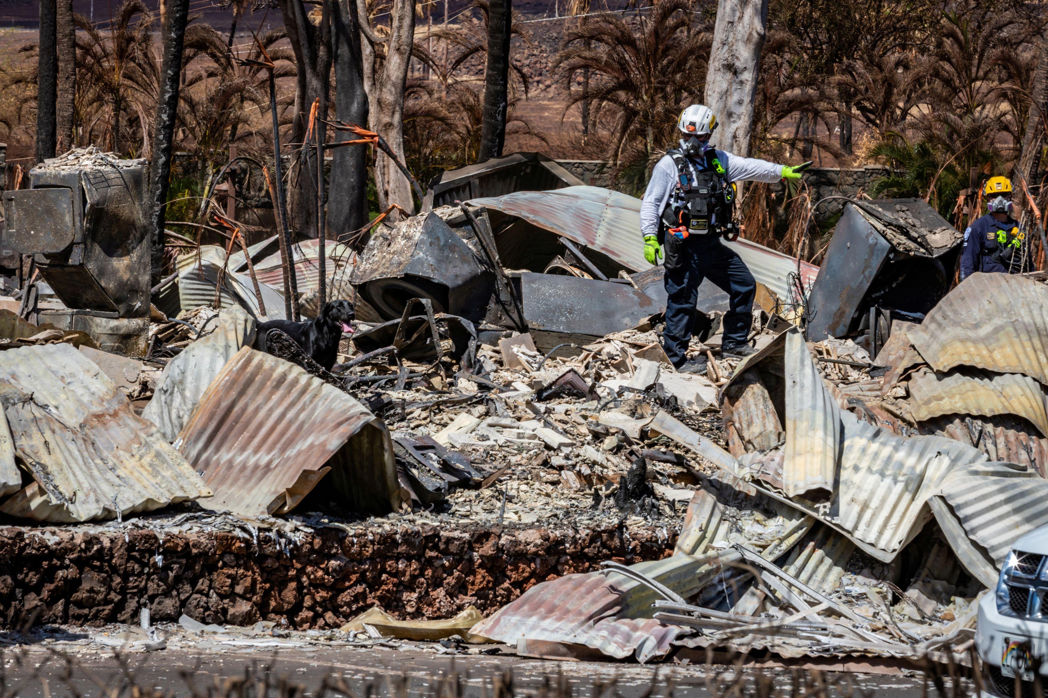 CapCut_Incêndios No Havai Provocam Mortes E Feridos