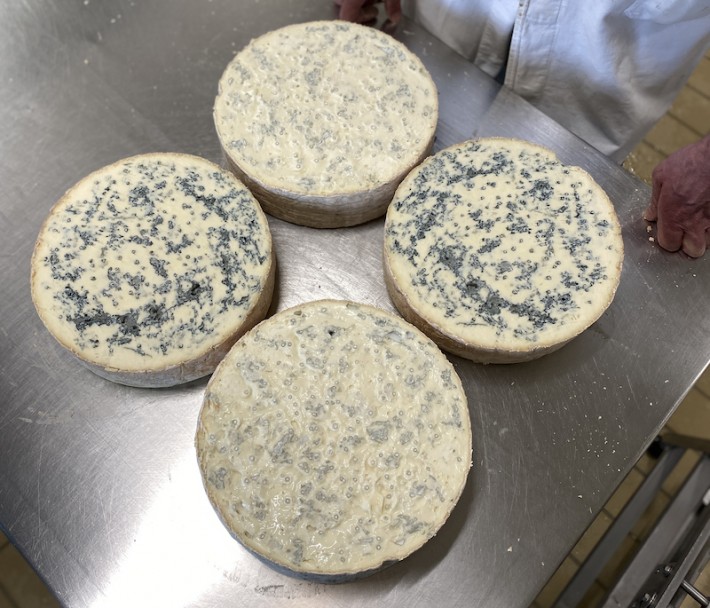 QUEIJO GORGONZOLA DE COLHER 680 G - QUEIJOS