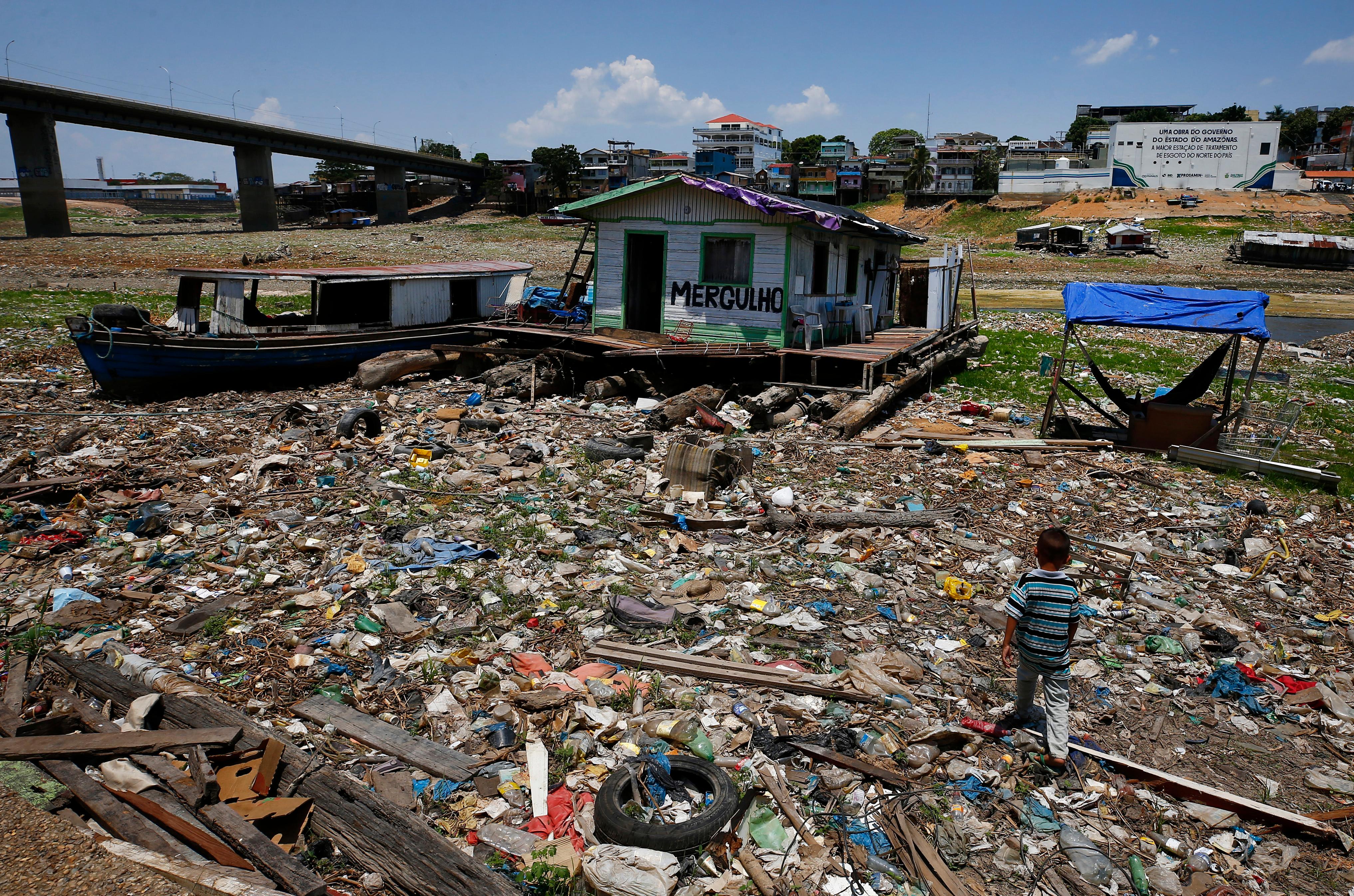 Crise climática: seca severa na Amazônia é agravada por desmatamento e fogo