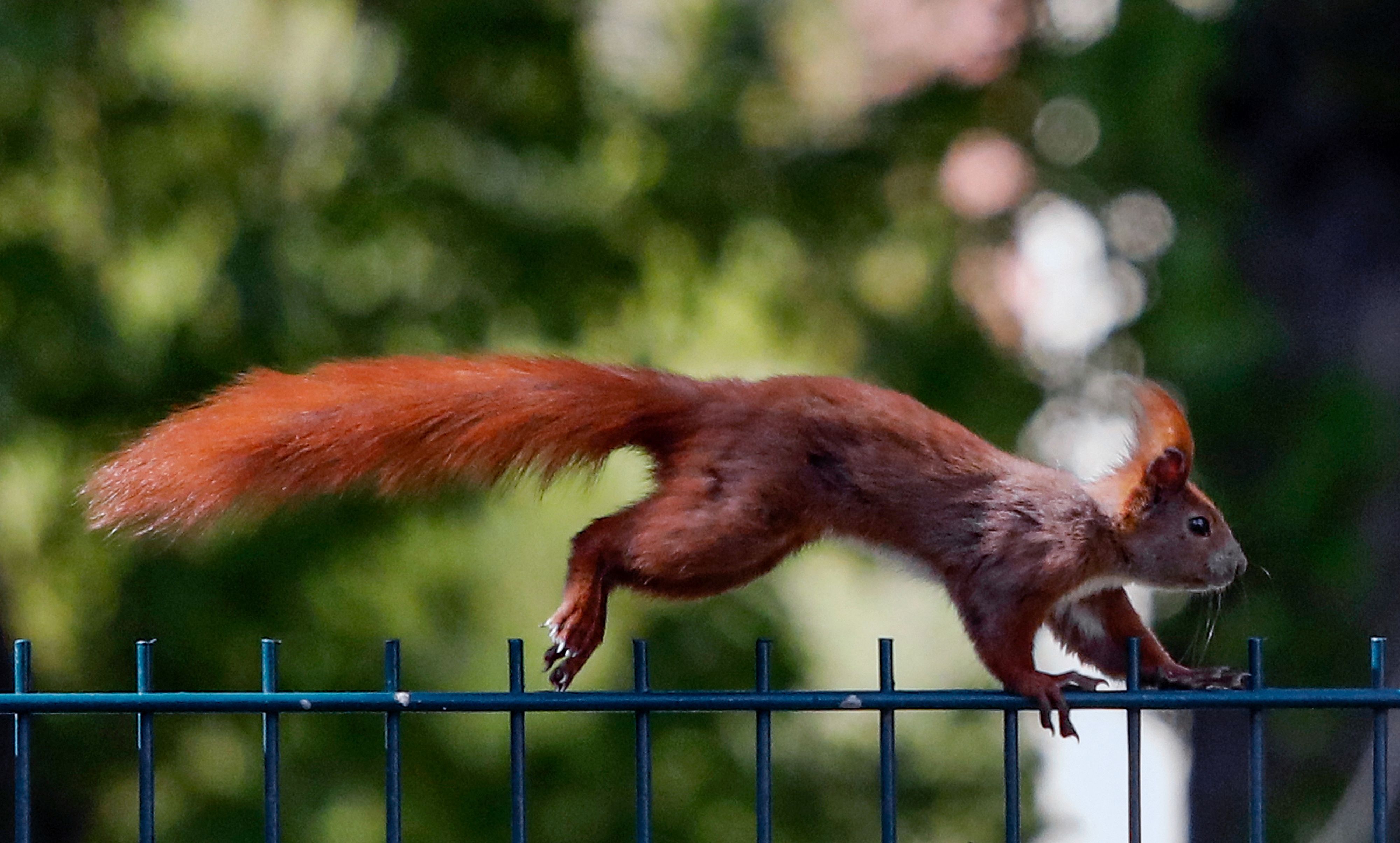 Mulheres no parkour - Estadão