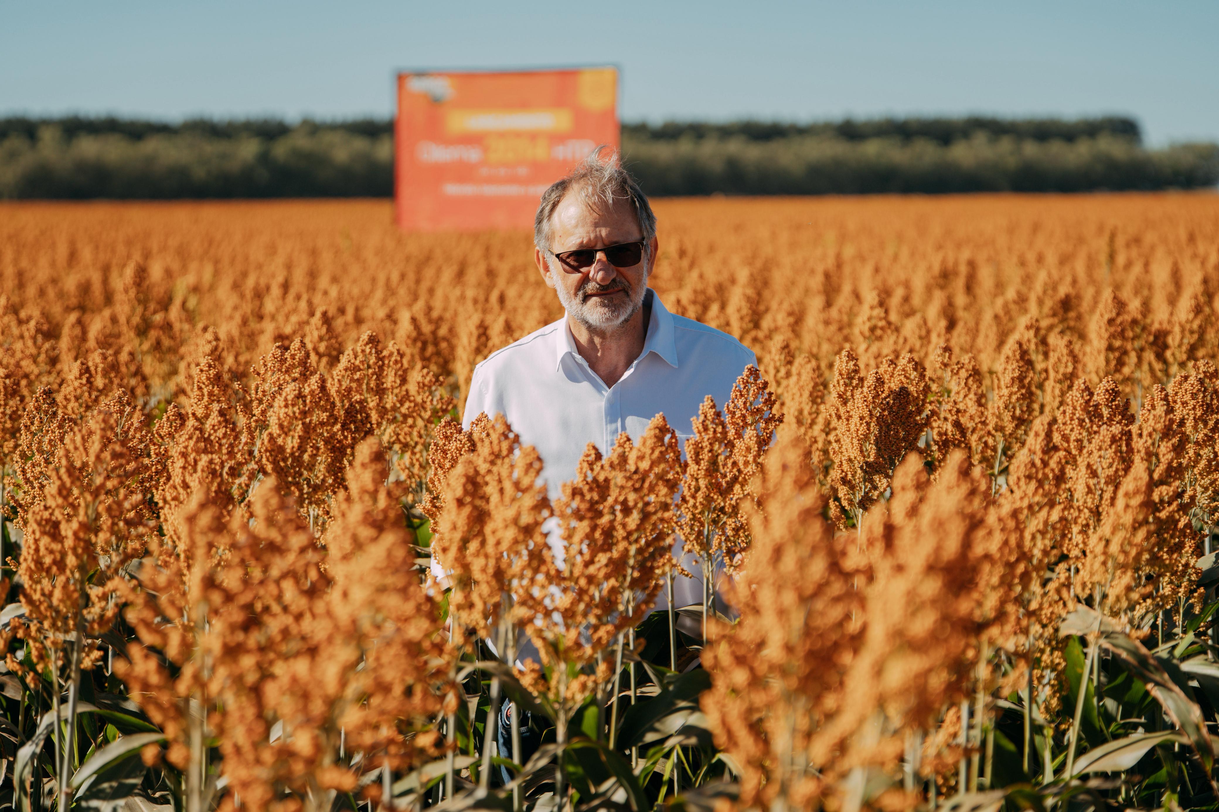 Poder do Campo: Novas culturas reconfiguram o ciclo da agricultura