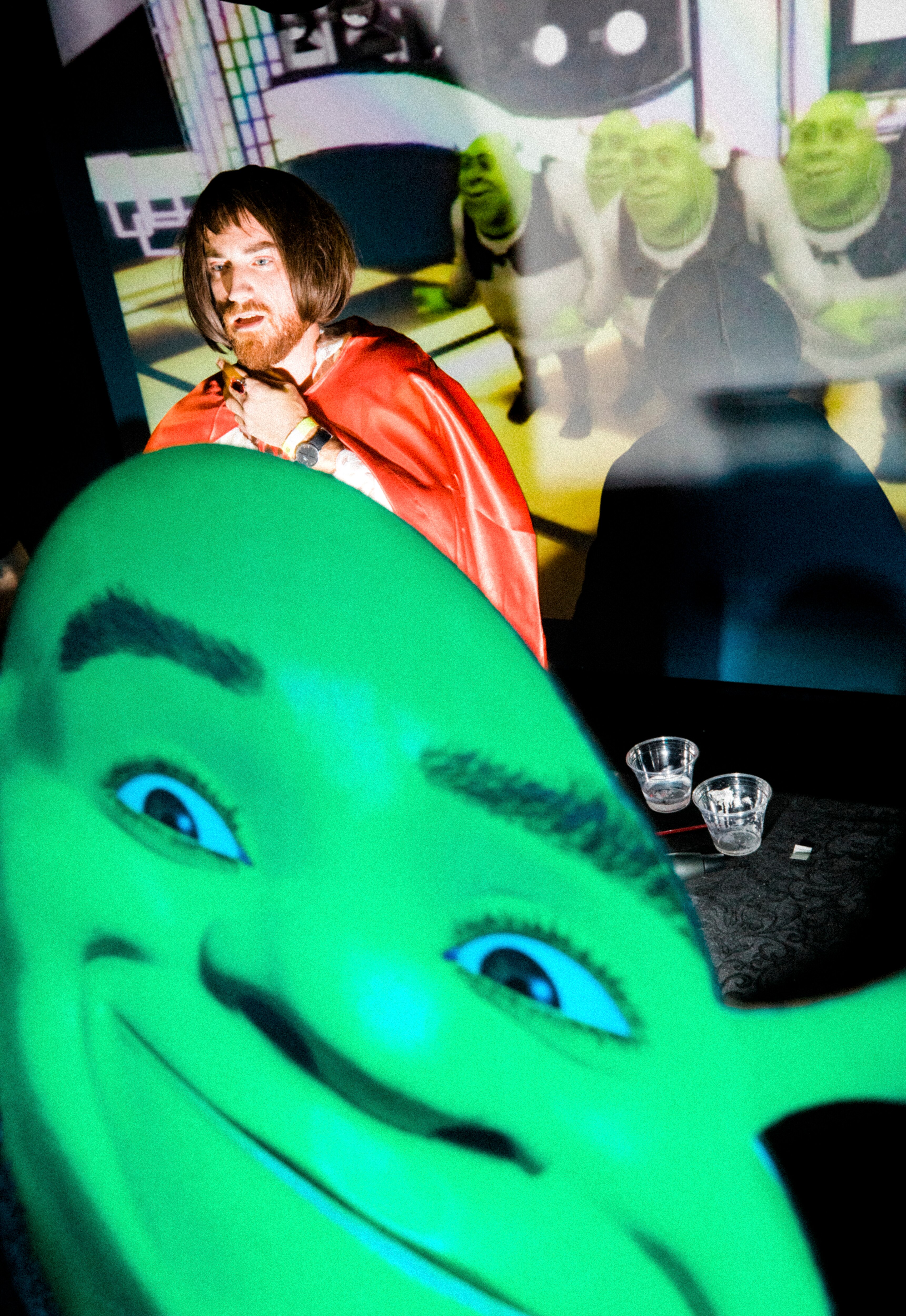 Rave do Shrek' leva o pântano da animação ao Brooklyn de Nova York