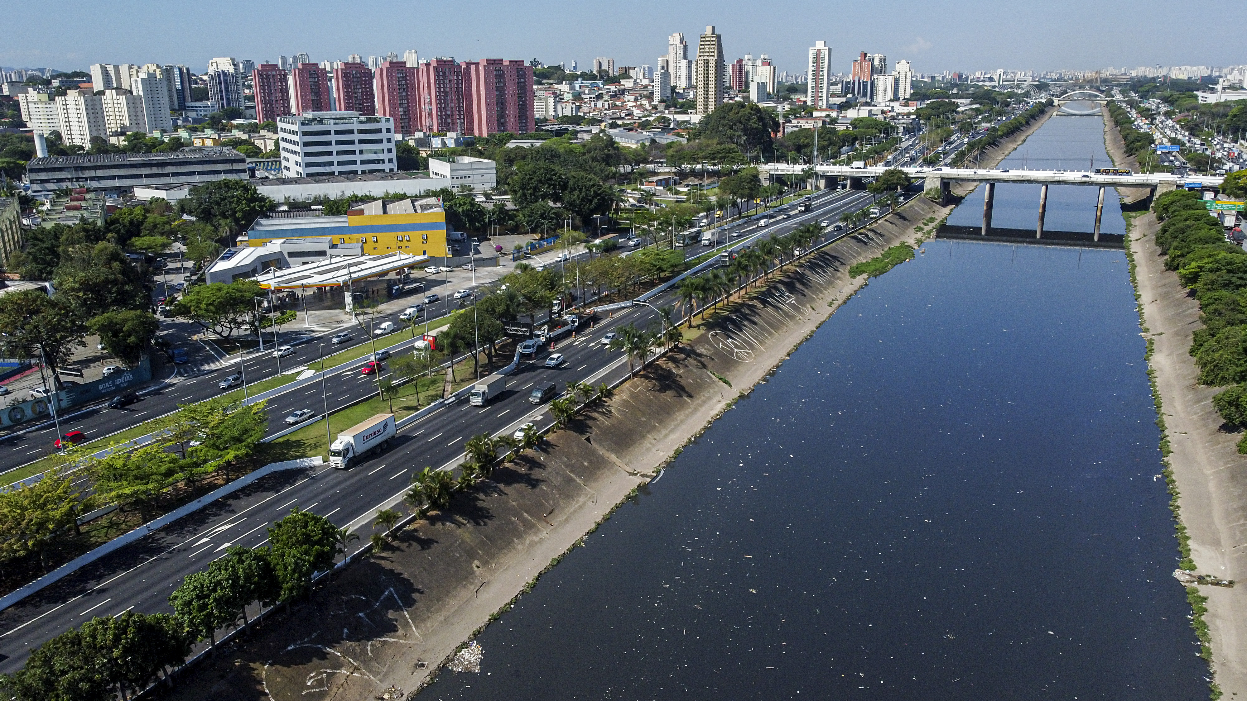 Jacaré no Rio Tietê mobilizou São Paulo em 1990 - Notícias - Estadão