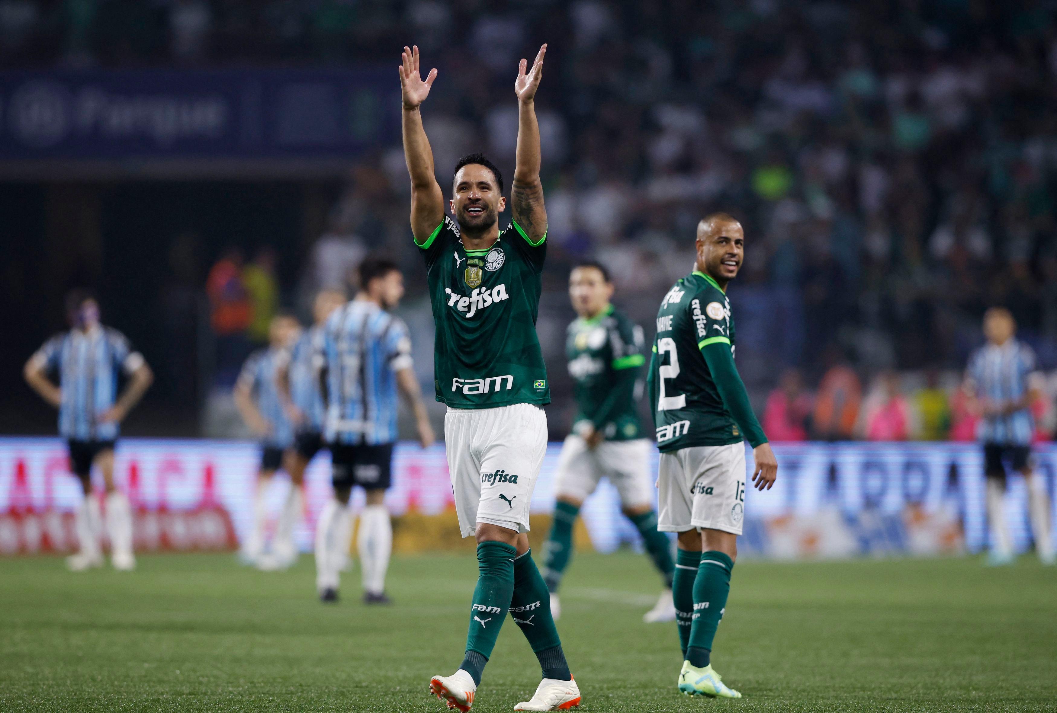 Players of Gremio during the game between Palmeiras and Gremio for the 34th  round of the Brazilian league, known locally as Campeonato Brasiliero. The  game took place at the Allianz Parque in