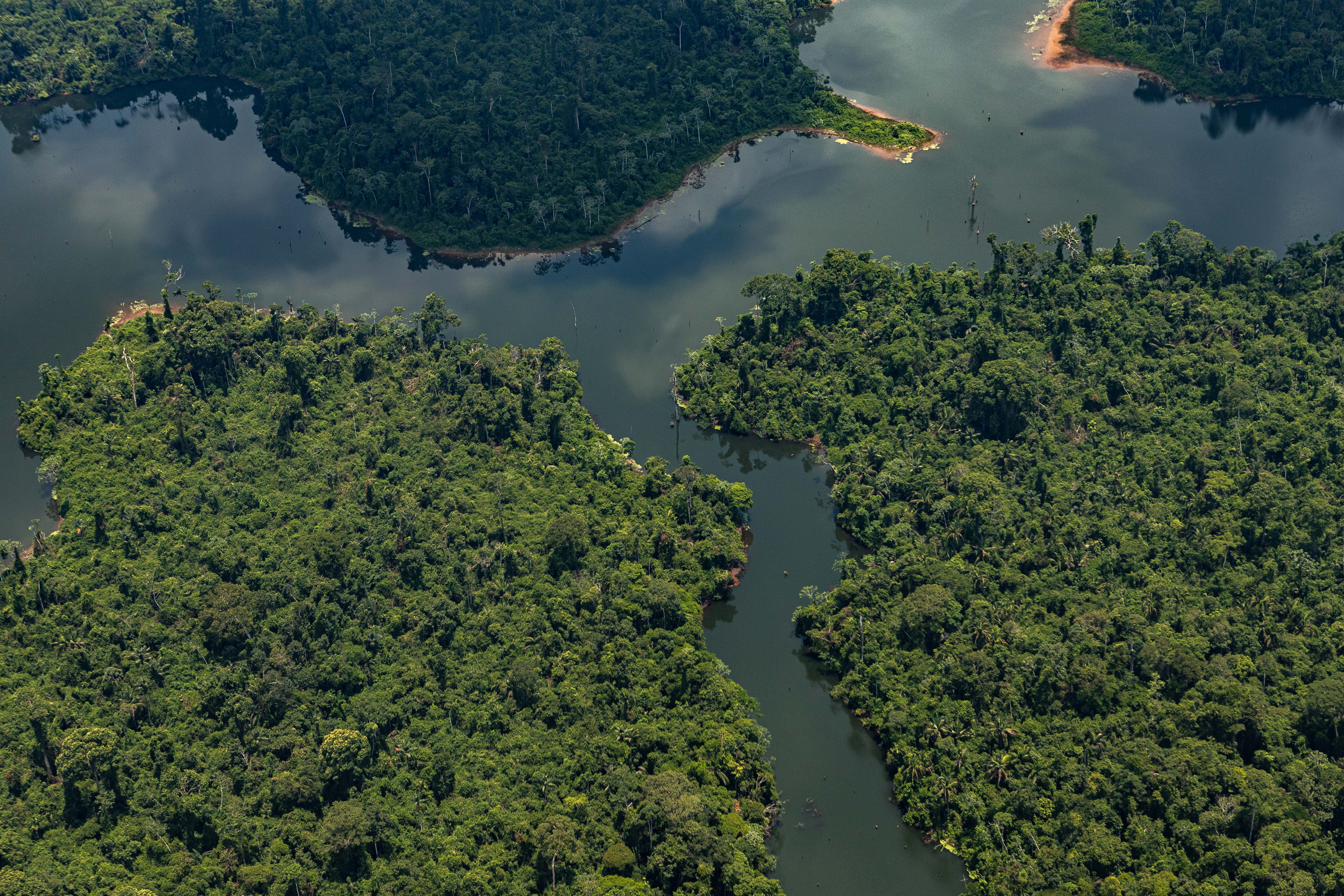 Nova controvérsia a envolver a presidência da COP 28 no Dubai