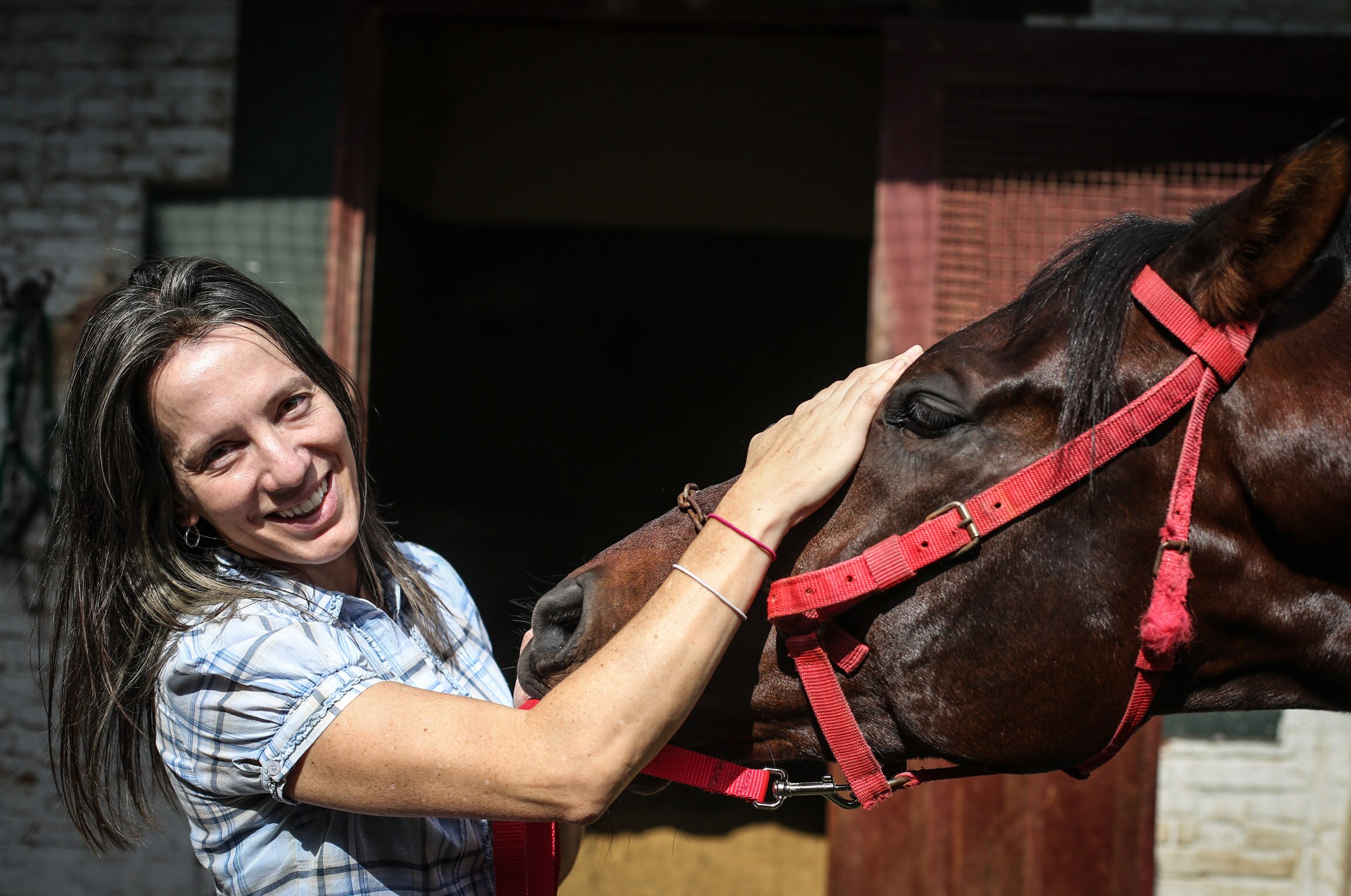 Corridas de cavalos: lesões e sacrifícios impactam fãs e críticos -  Internacional - Estado de Minas