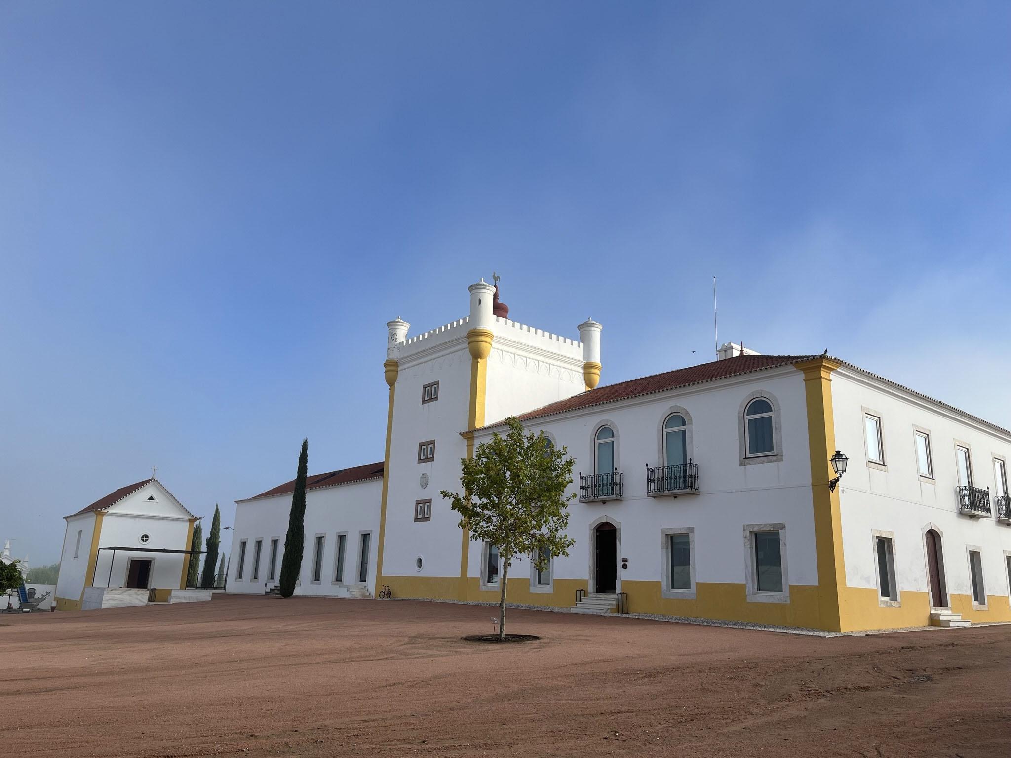 Mapa Vitivinícola de Portugal – Torre de Palma