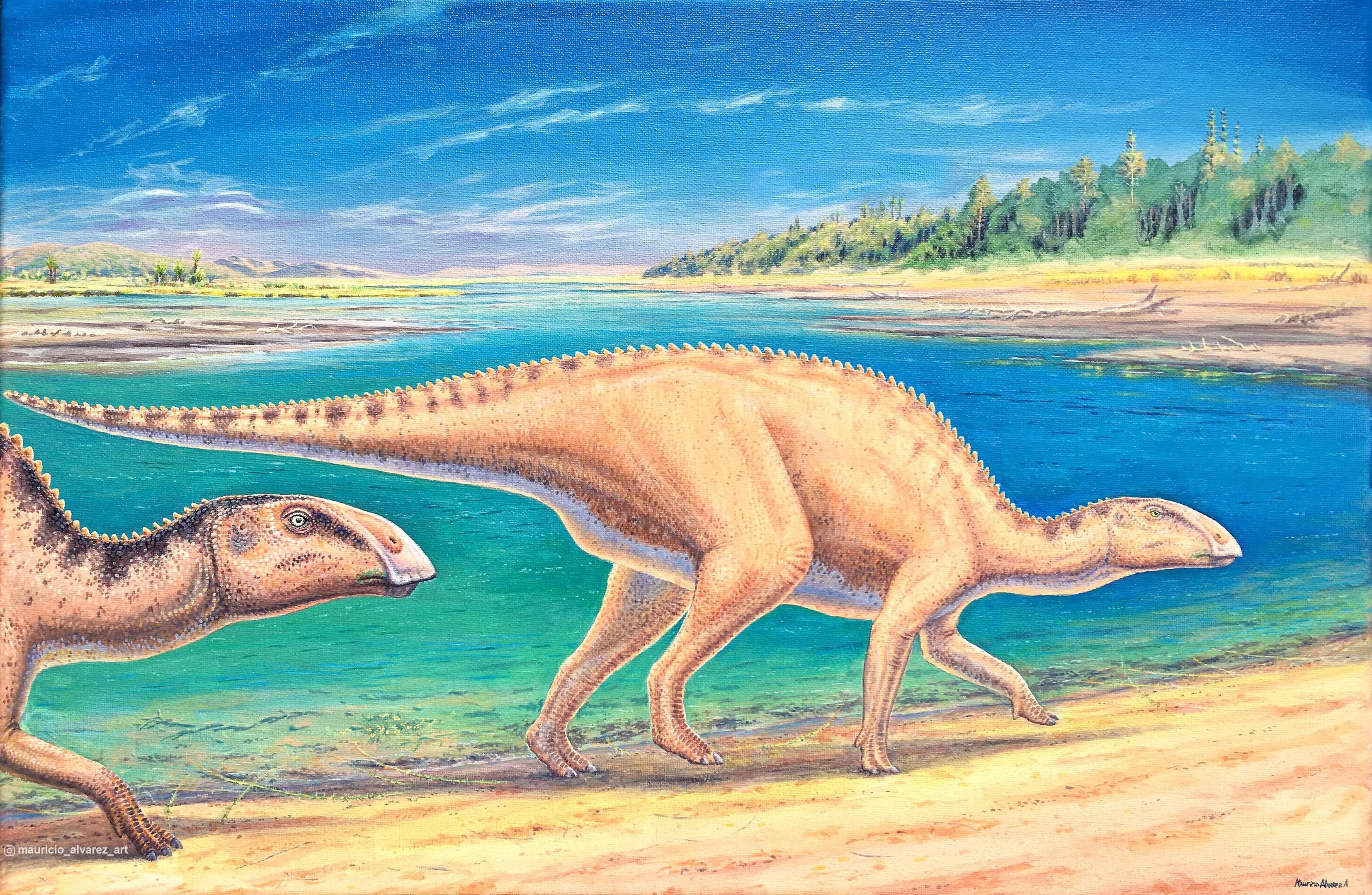 Paleontologia: Nova espécie de dinossauro é descoberta na Patagônia