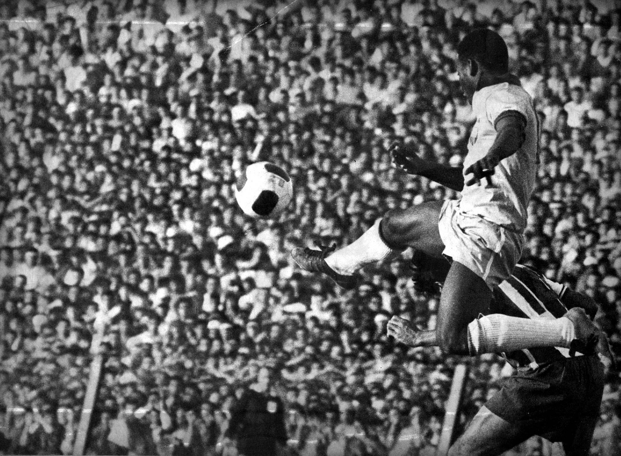 Pelé, o rei visto de perto