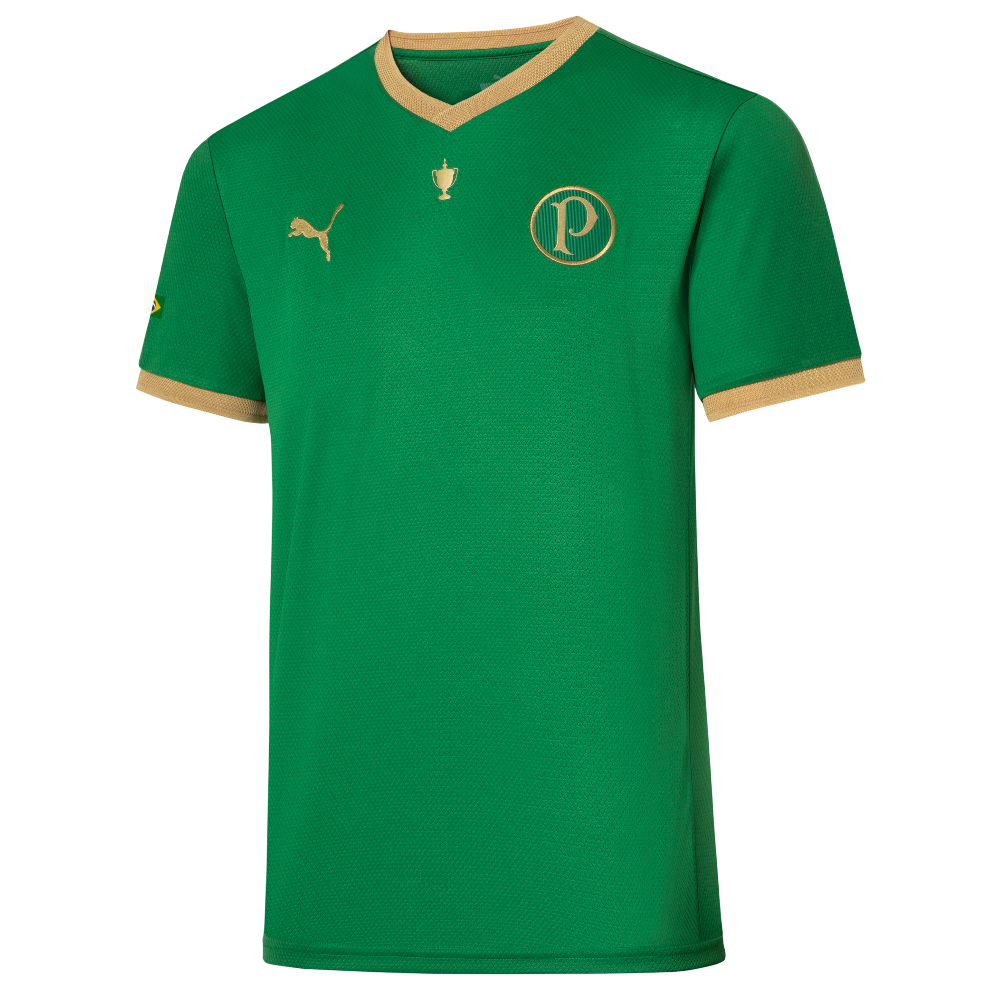 Esporte Rio: SE Palmeiras (Brasil) Campeã do Torneio de Clubes Campeões -  Copa Rio de 1951