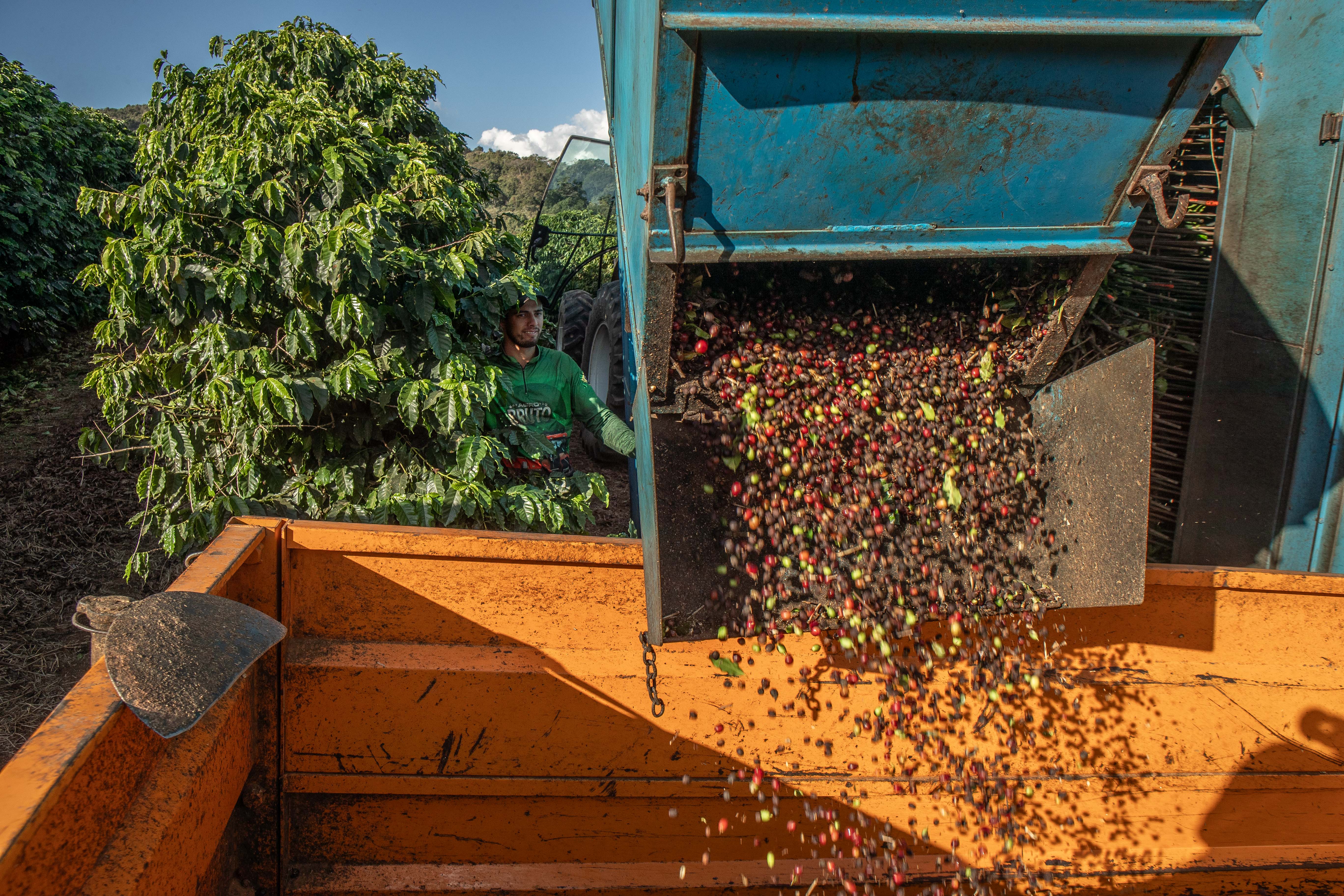CPI das Pirâmides Financeiras conclui trabalhos pedindo indiciamento de  sócios da 123milhas, Ronaldinho Gaúcho e Faraó dos Bitcoins, entre outros -  Estadão