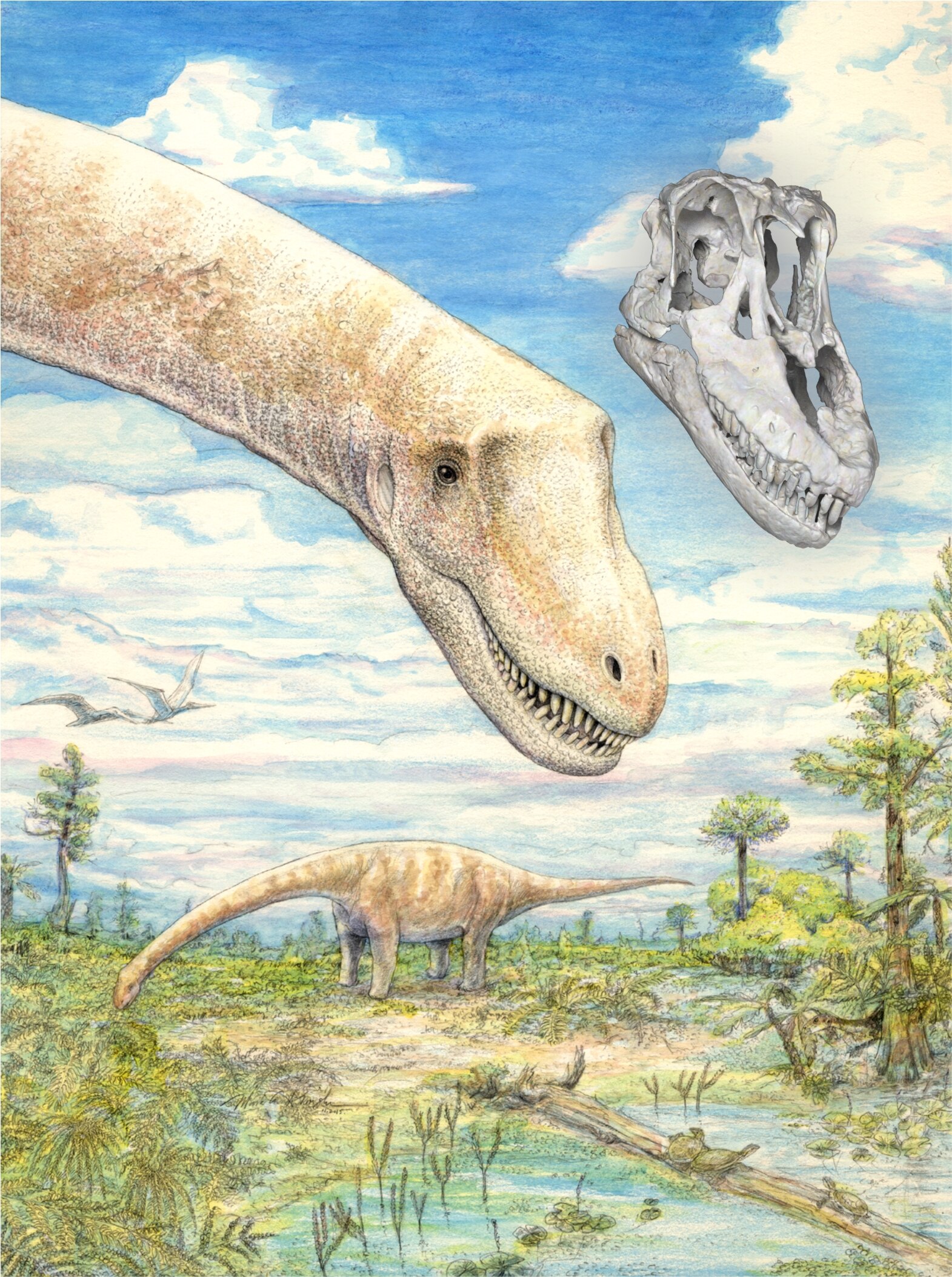 Nova espécie de dinossauro gigante é encontrada na Índia