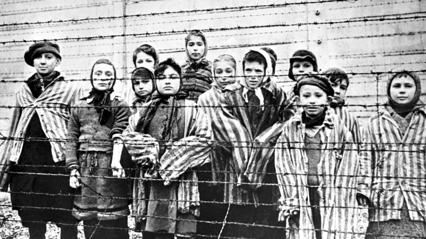 Holocausto: memória e reflexão - Estado da Arte