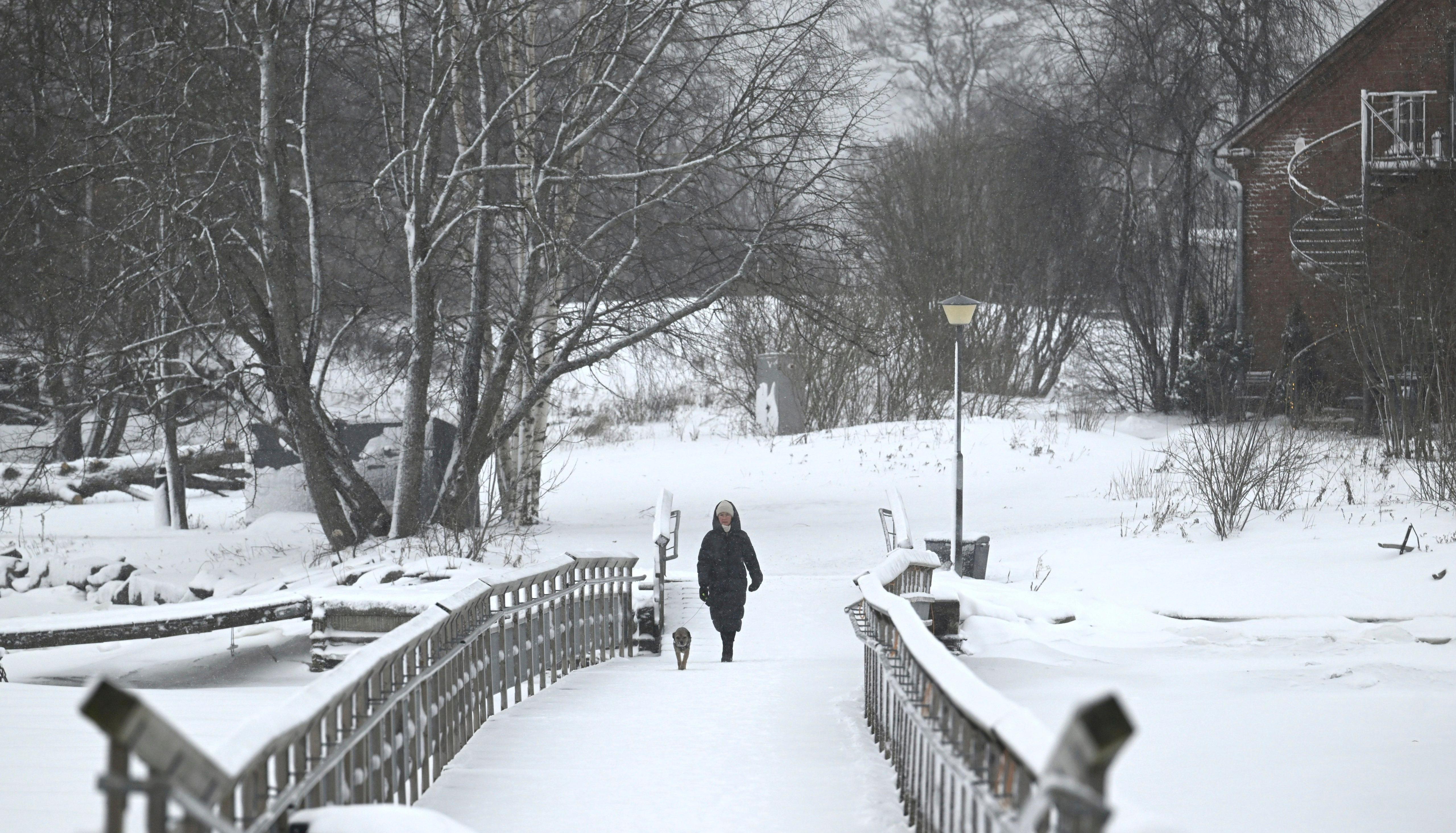 Neve e frio extremo na Escandinávia: Suécia registou temperatura mais baixa  dos últimos 25 anos