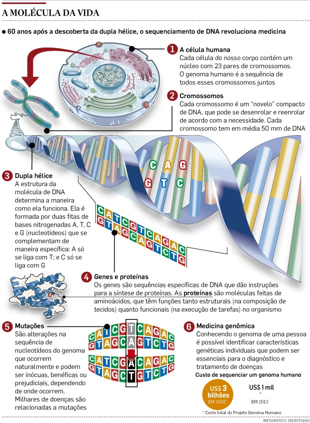 Diagrama De Engenharia Genetica Humana