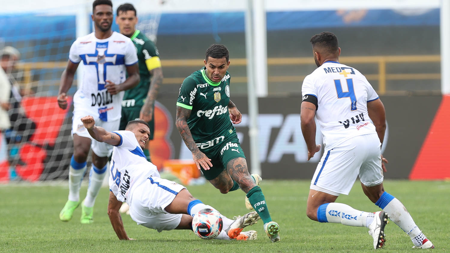 AO VIVO e de GRAÇA! Veja como assistir Água Santa x Palmeiras