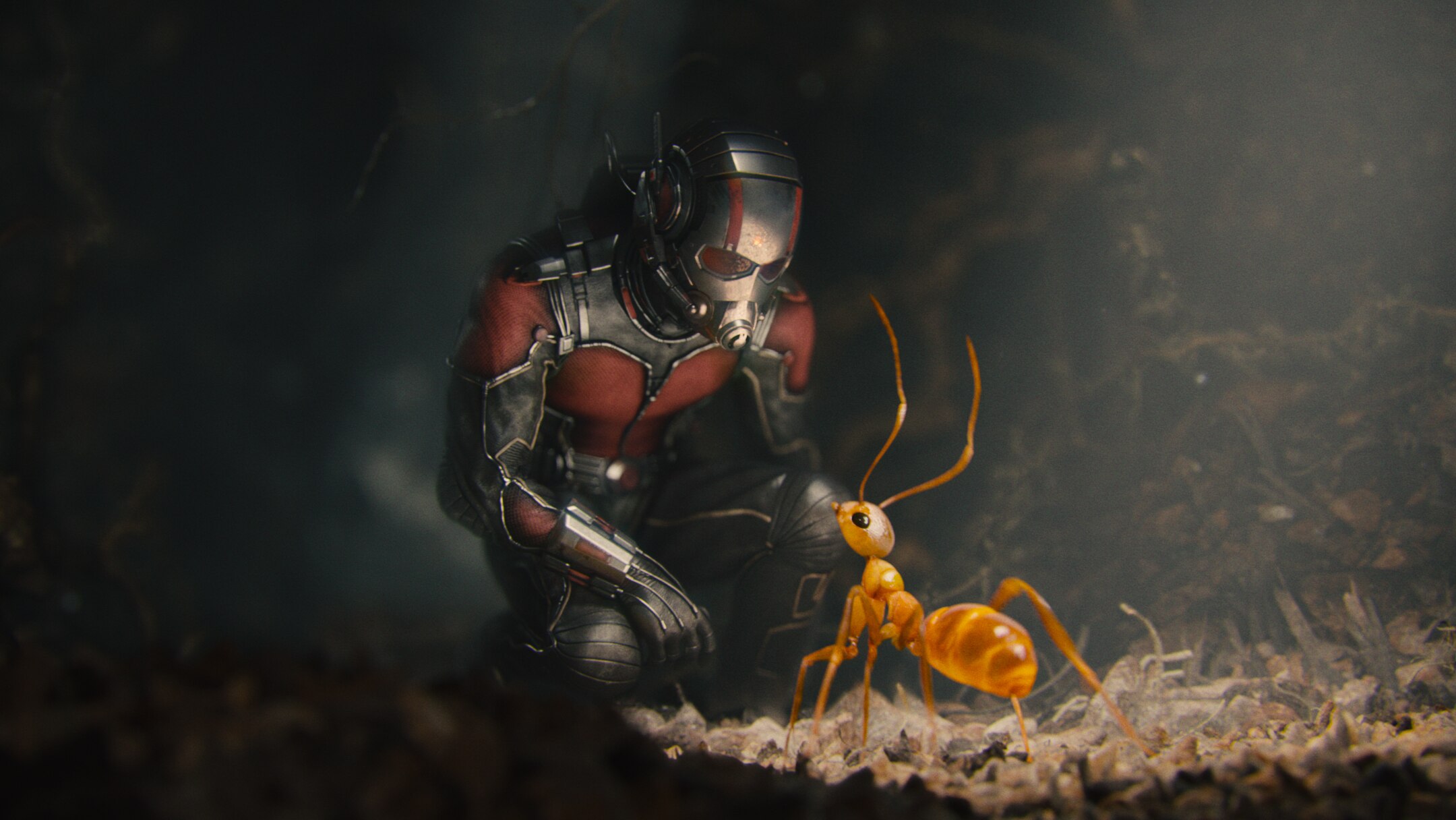 Homem-Formiga 3: cena pós-créditos tem conexão com Tony Stark