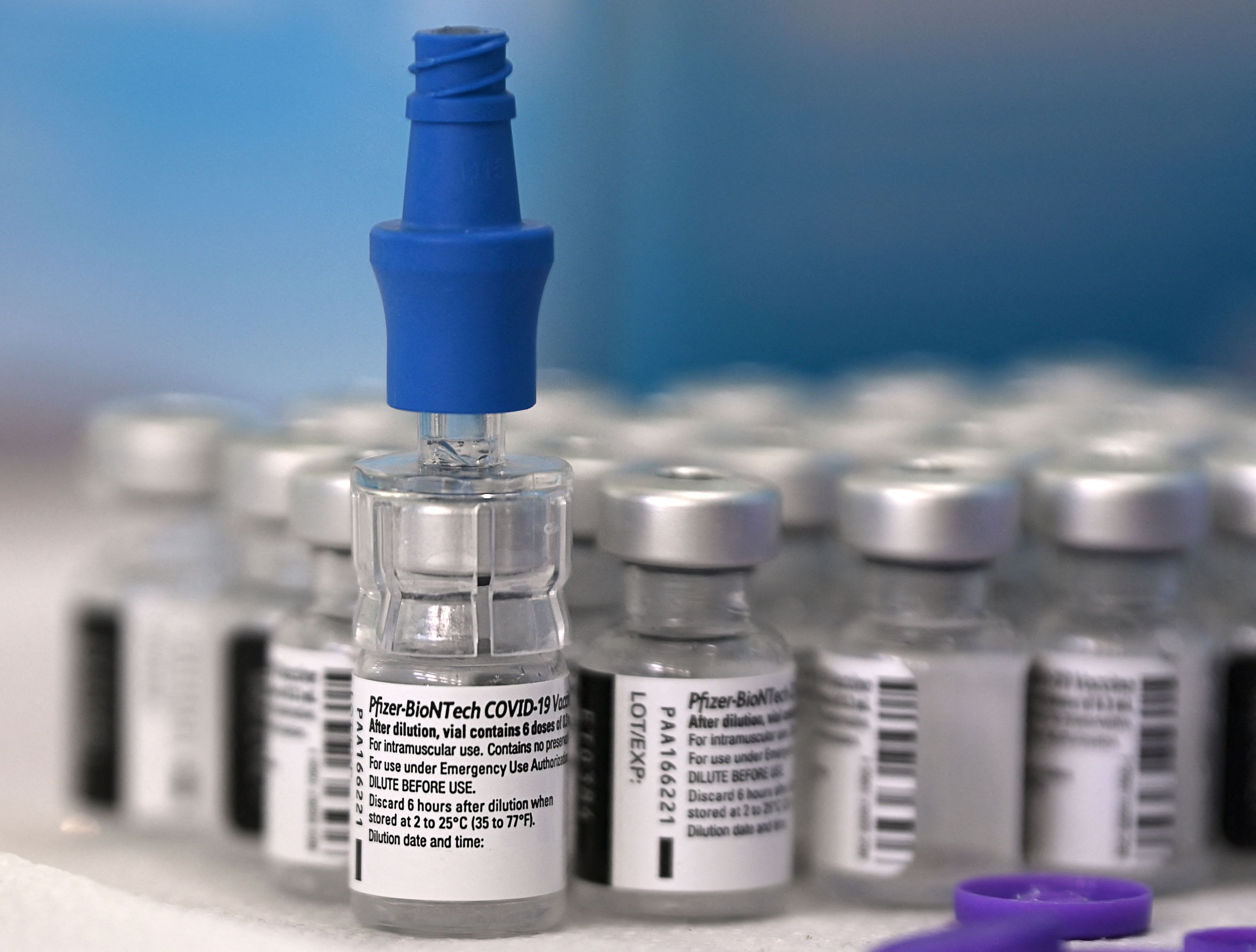 TecMundo no LinkedIn: Câncer de pâncreas: vacina destruiu células  cancerígenas em primeiro teste