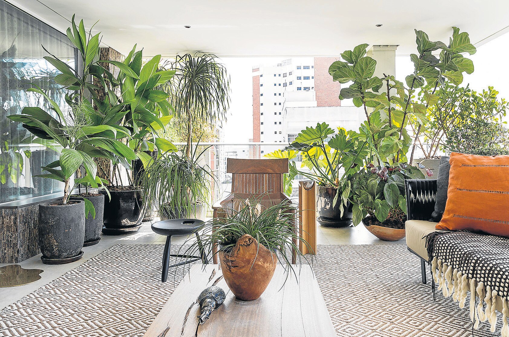 Plantas tropicais podem se adaptar a ambientes internos da casa - Estadão