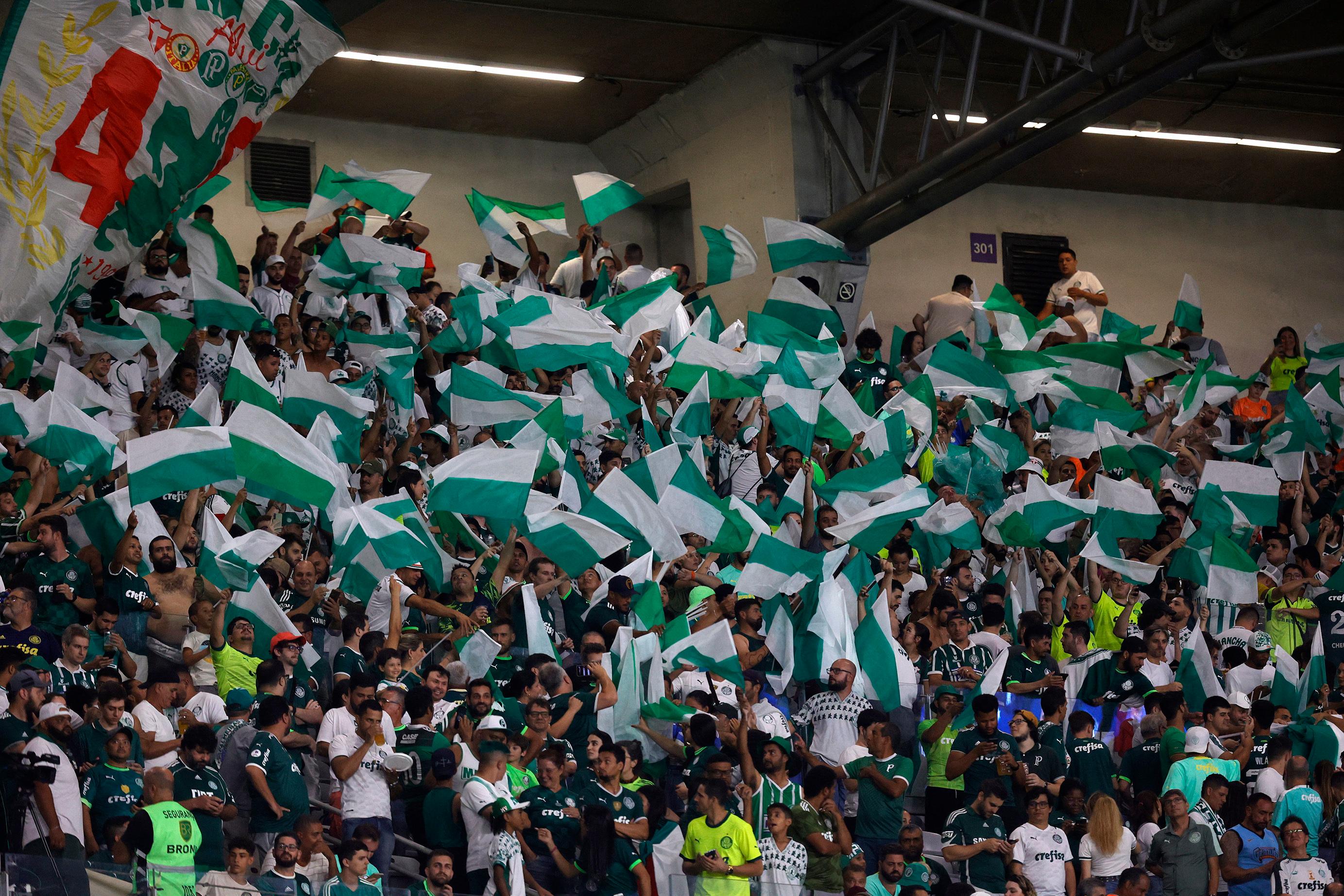 Palmeiras conquista o bi no Brasileirão e soma 12º título nacional com  empate diante do Cruzeiro - Portal de notícias de Penedo-AL e região.