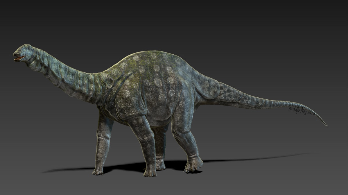 Paleontologia: Nova espécie de dinossauro é descoberta na Patagônia