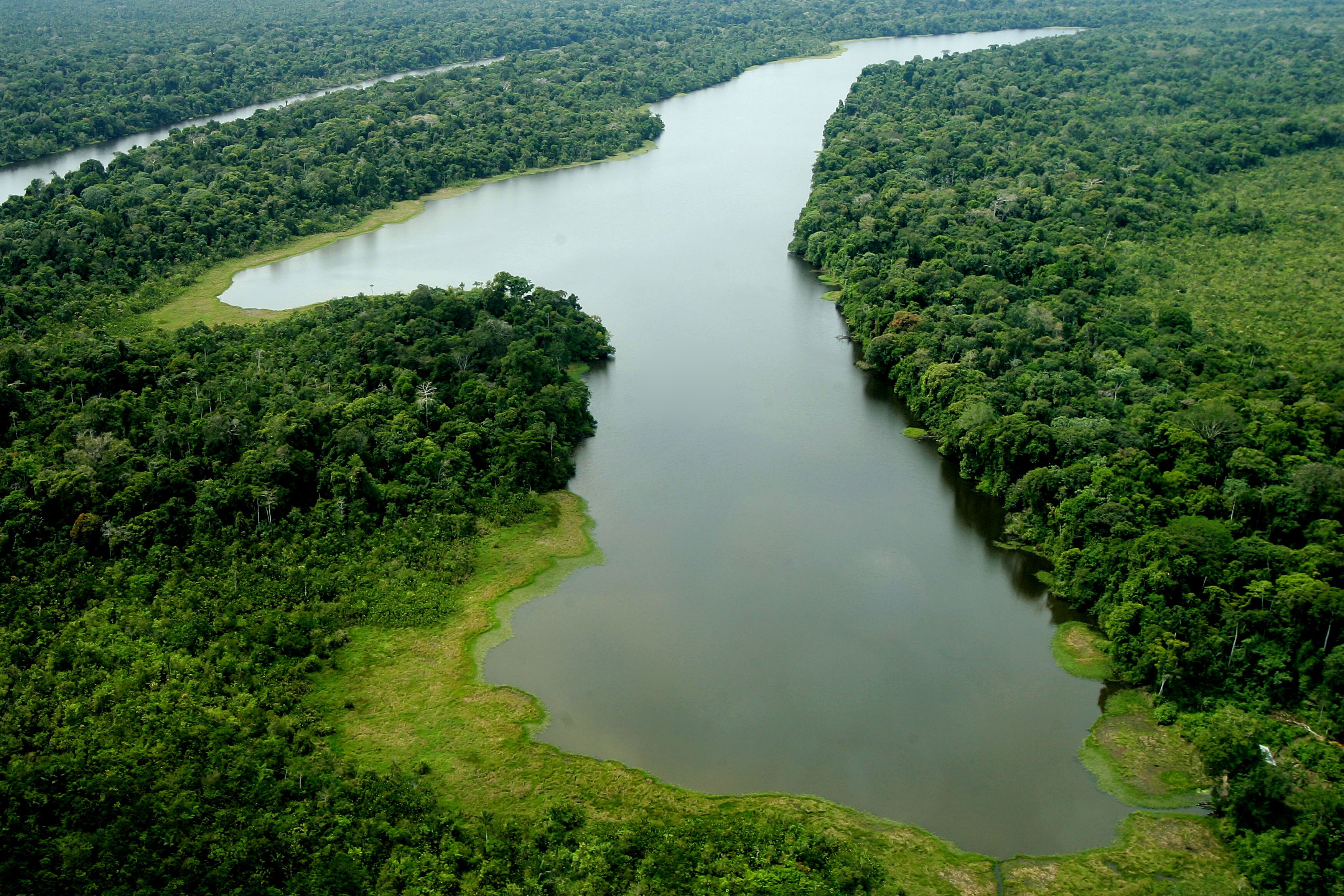 Torres de 35m no meio da Amaz&ocirc;nia v&atilde;o medir estragos da crise clim&aacute;tica em estudo  in&eacute;dito; entenda
