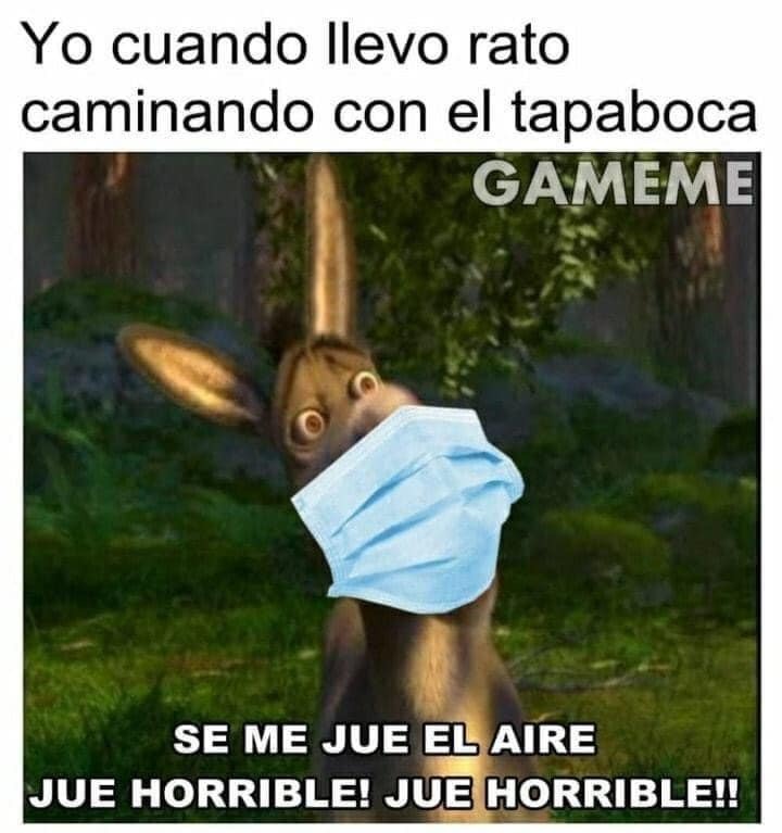 Los mejores memes de la semana Primera Hora