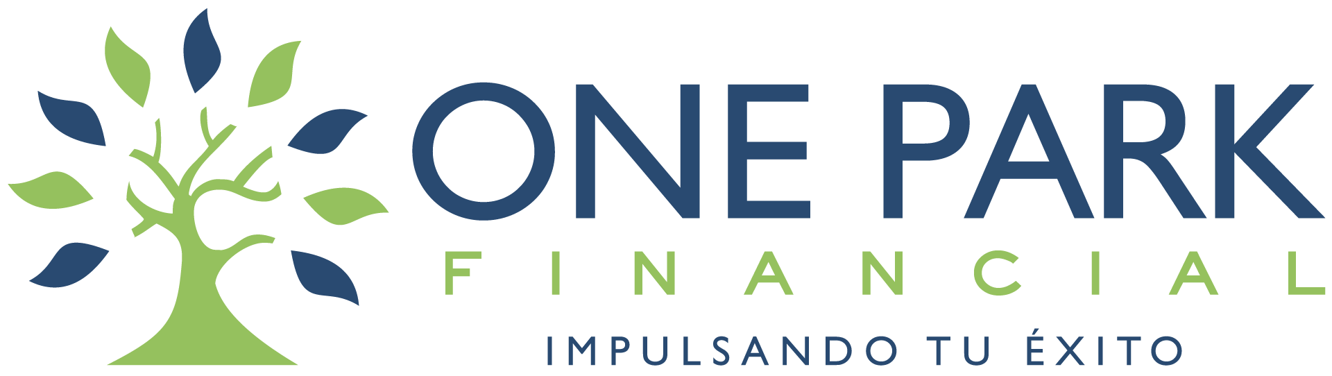 One Park Financial