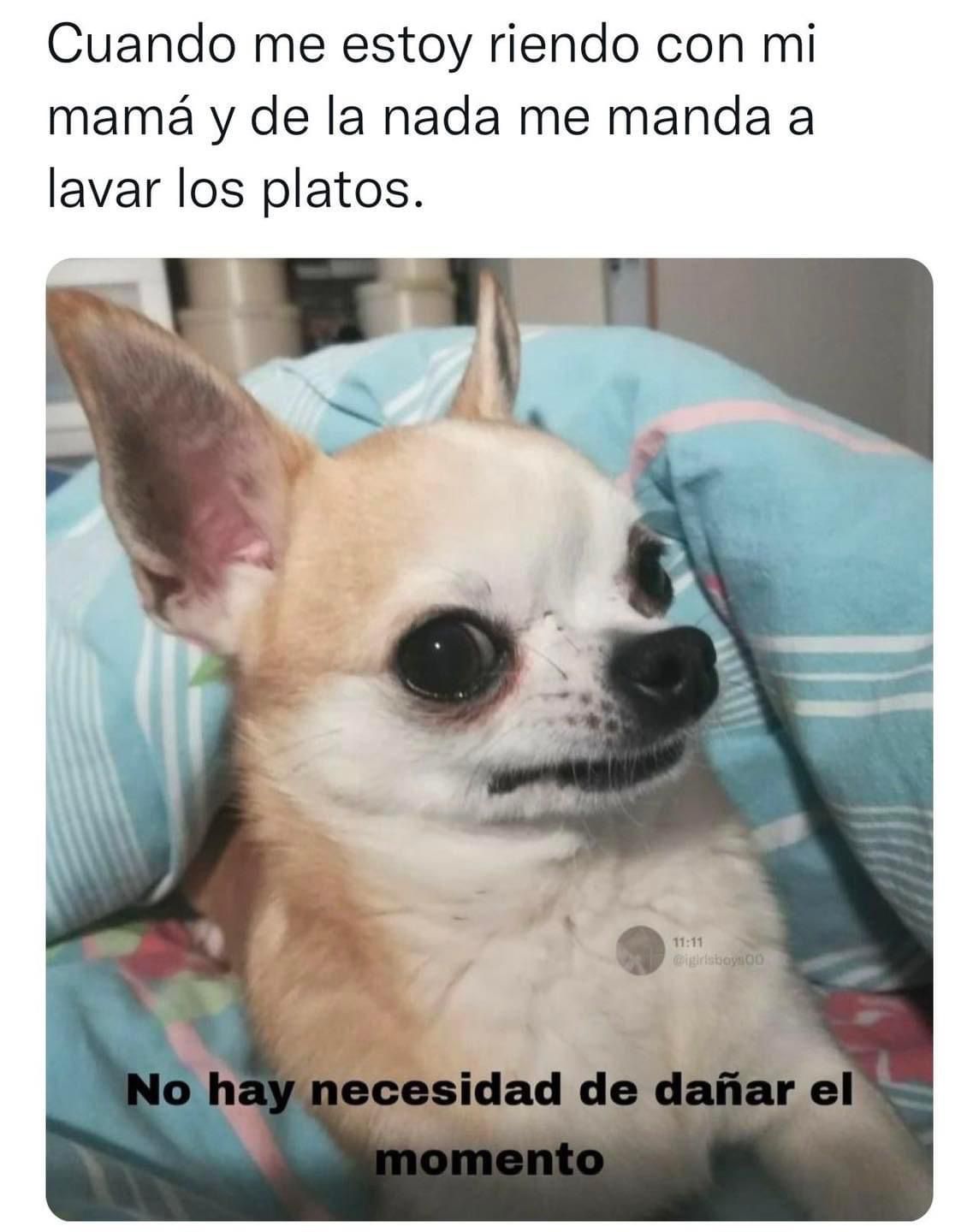 Los mejores memes de la semana - Primera Hora, image size:1144x1440