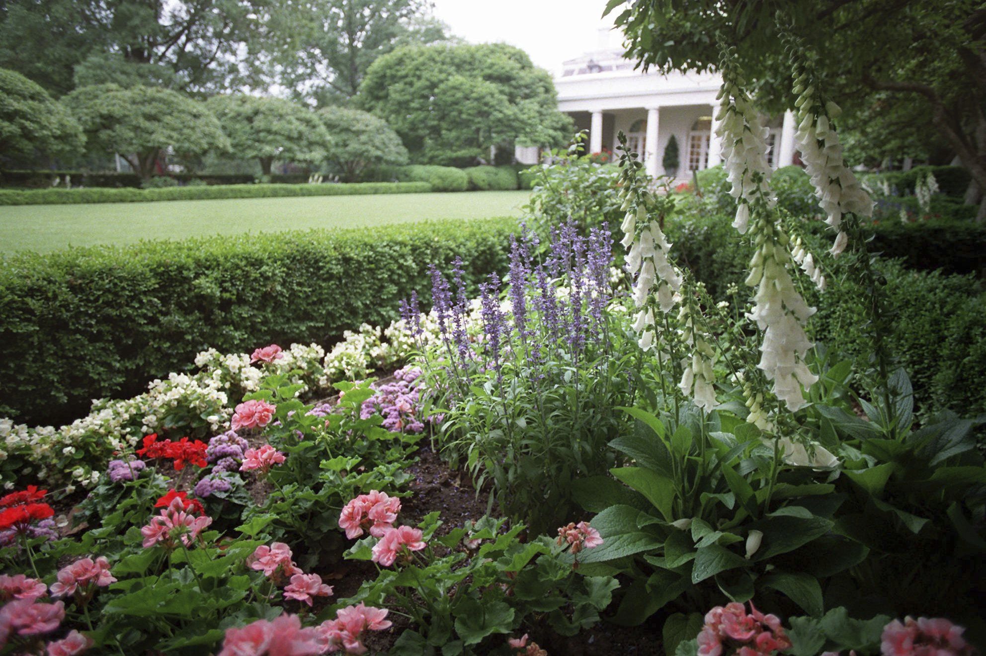 Jardín De Rosas Formal De La Casa Blanca