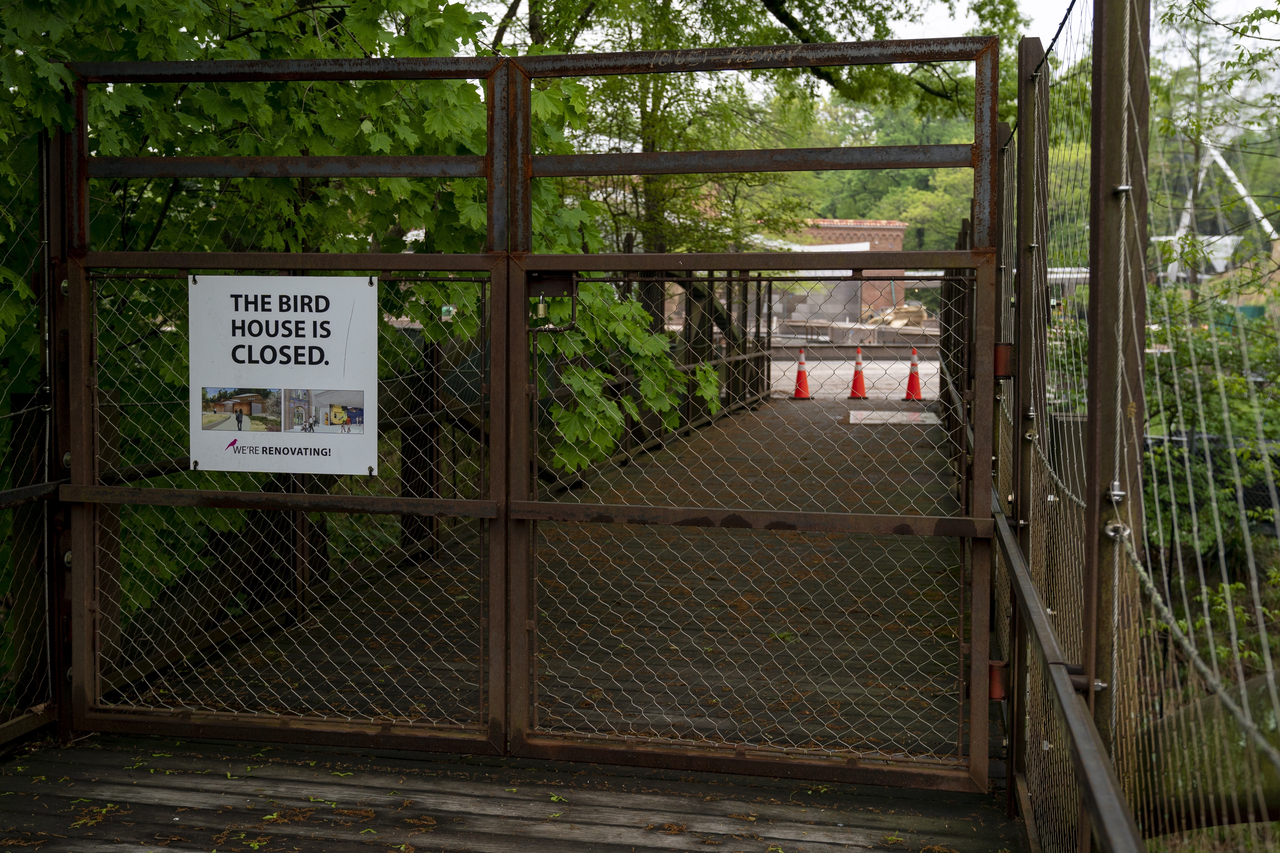 Jacksonville Zoo and Gardens catches another case of Jaguar fever