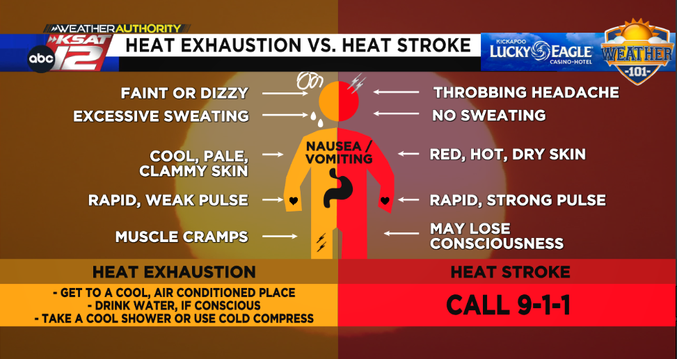 heat-exhaustion-vs-heat-stroke-the-symptoms-to-look-out-for