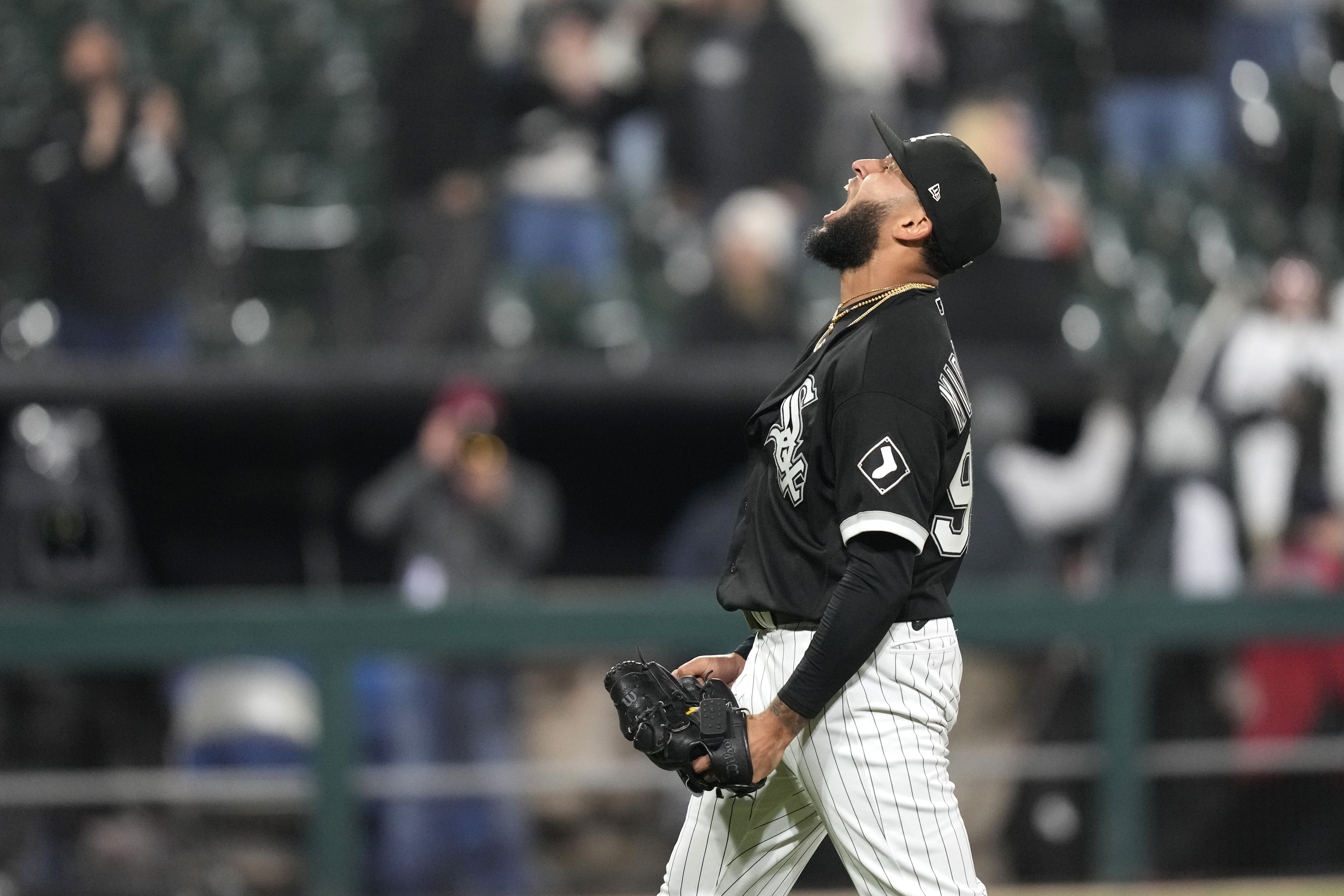 Houston Astros 10, Chicago White Sox 2: Trash All Around - South Side Sox