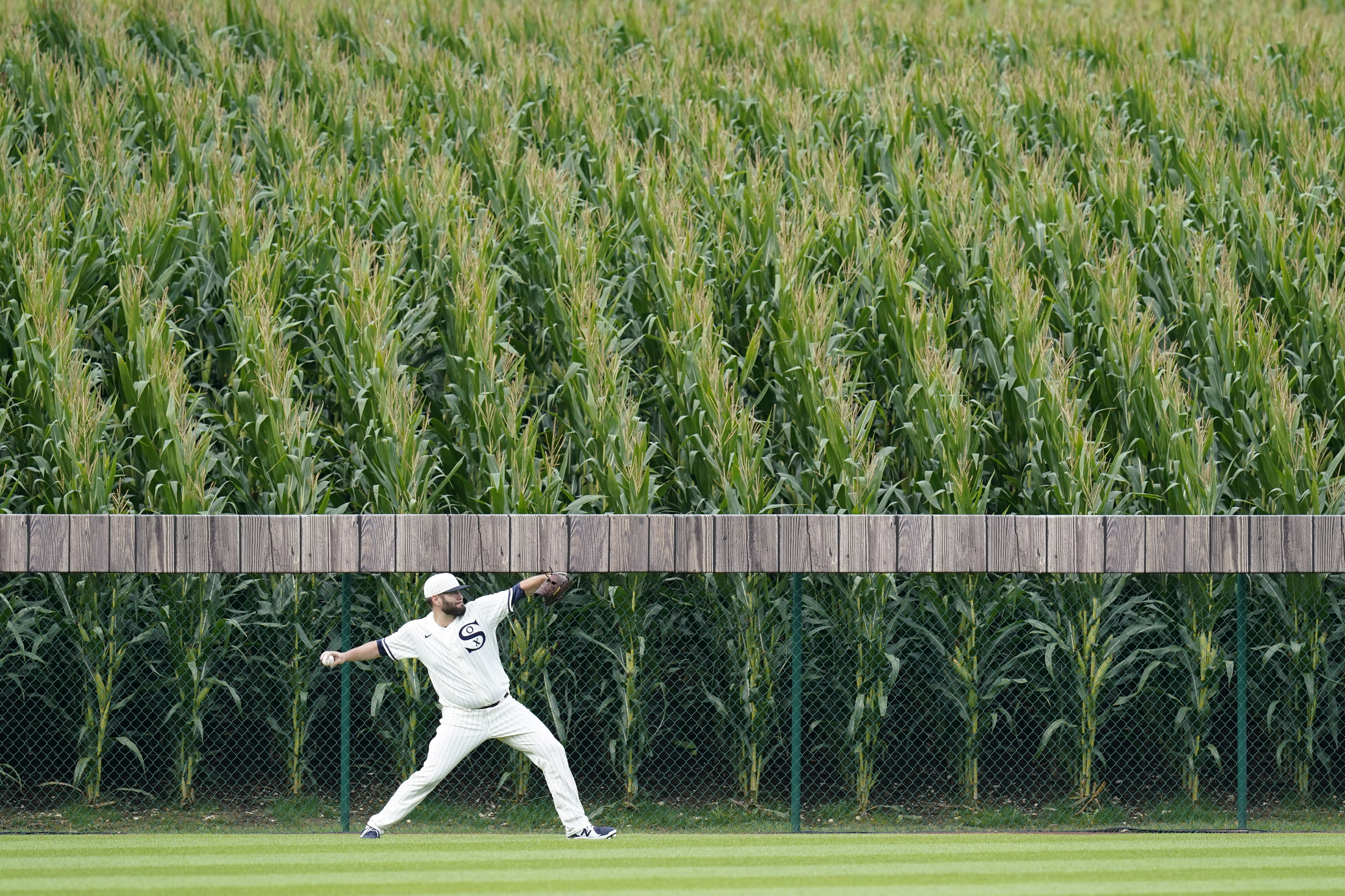 Watch: White Sox's Jose Abreu hits home run into corn during