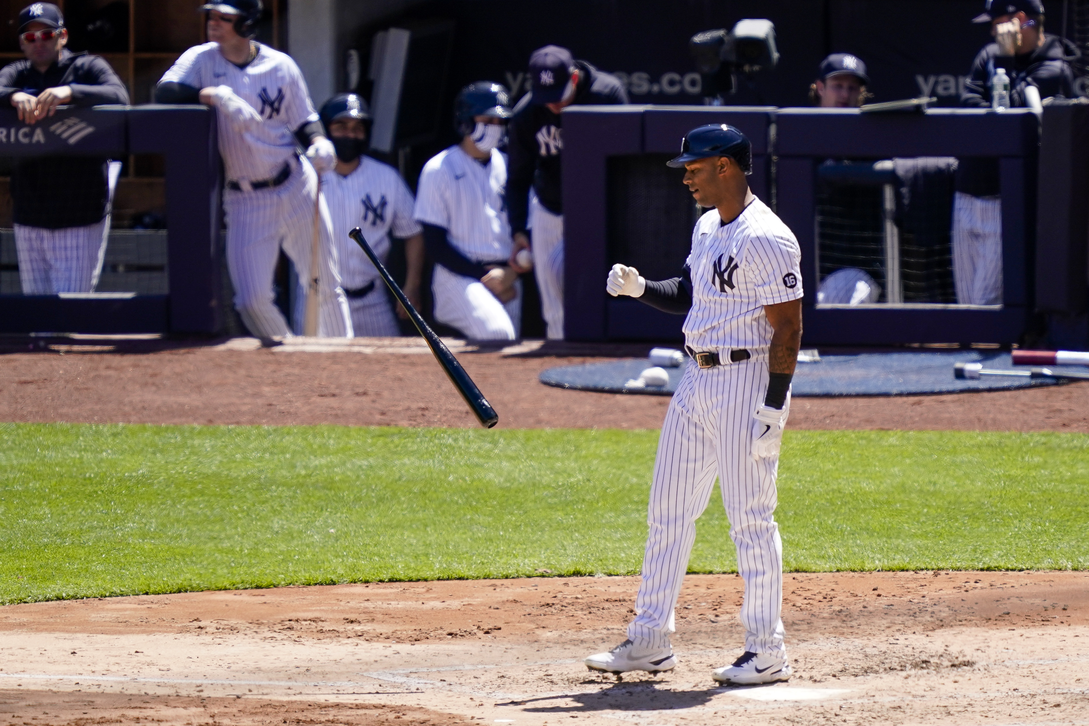 Yankees: LeMahieu Is a Sure Thing, but Kluber and Taillon are