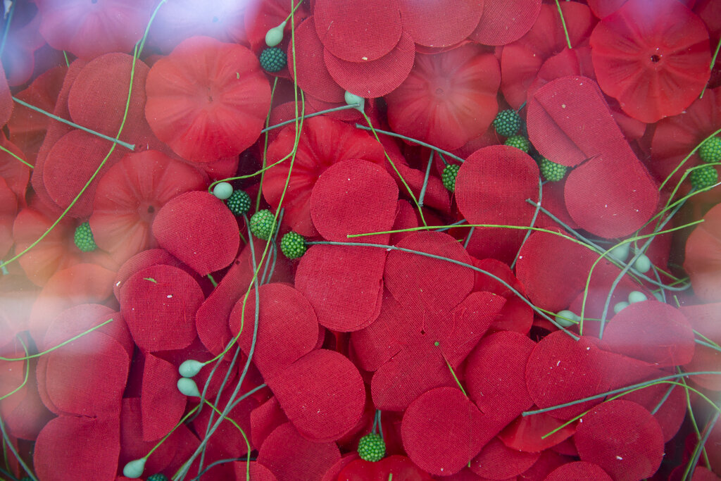 Poppy Wall of Honor returns to National Mall for Memorial Day