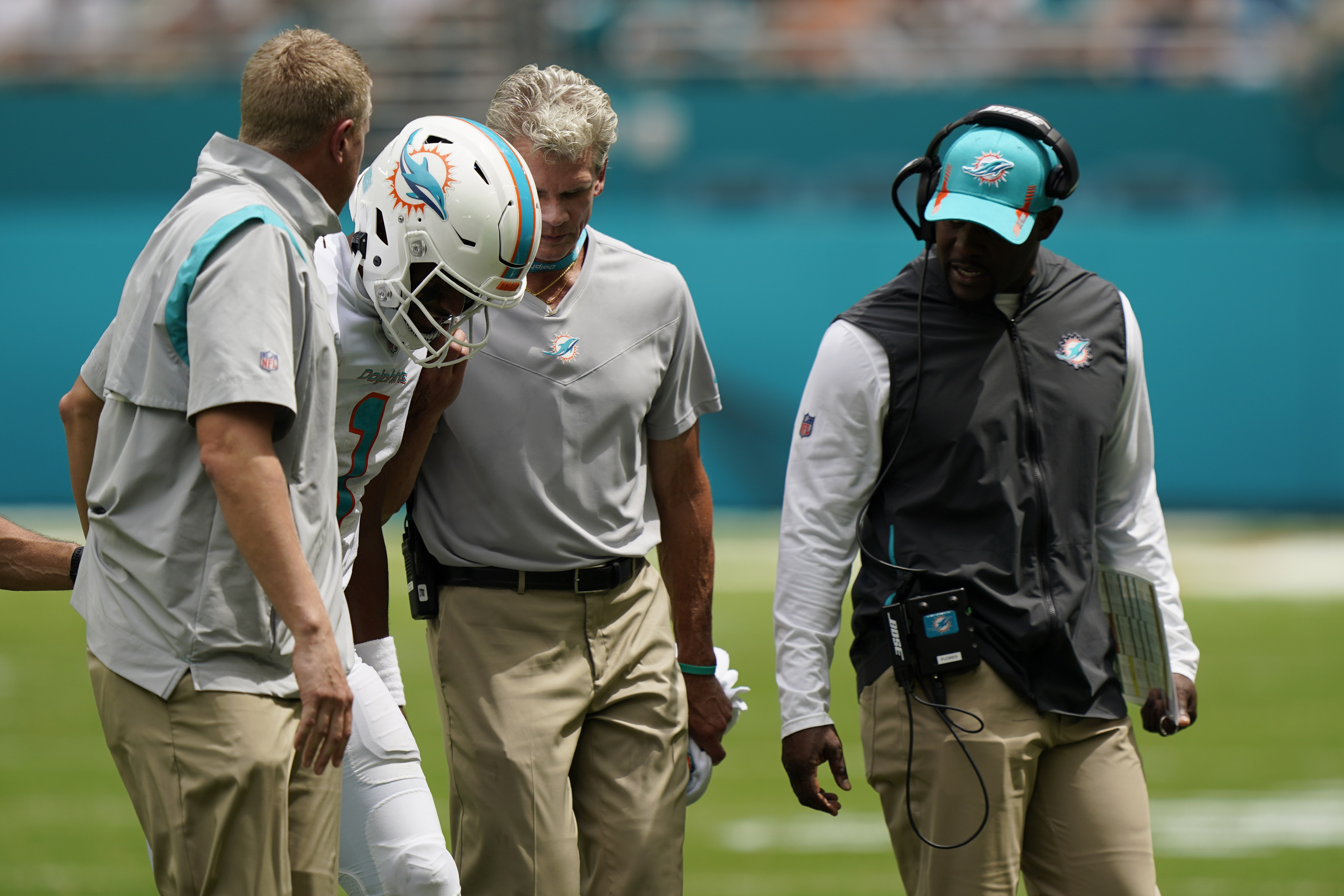 Miami Dolphins' quarterback Reid Sinnett (4) drops back against