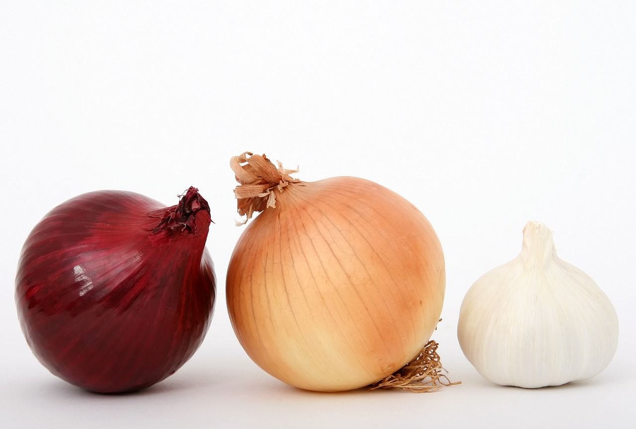 Salmonella Outbreak in 22 States Linked to Diced Onion Mix