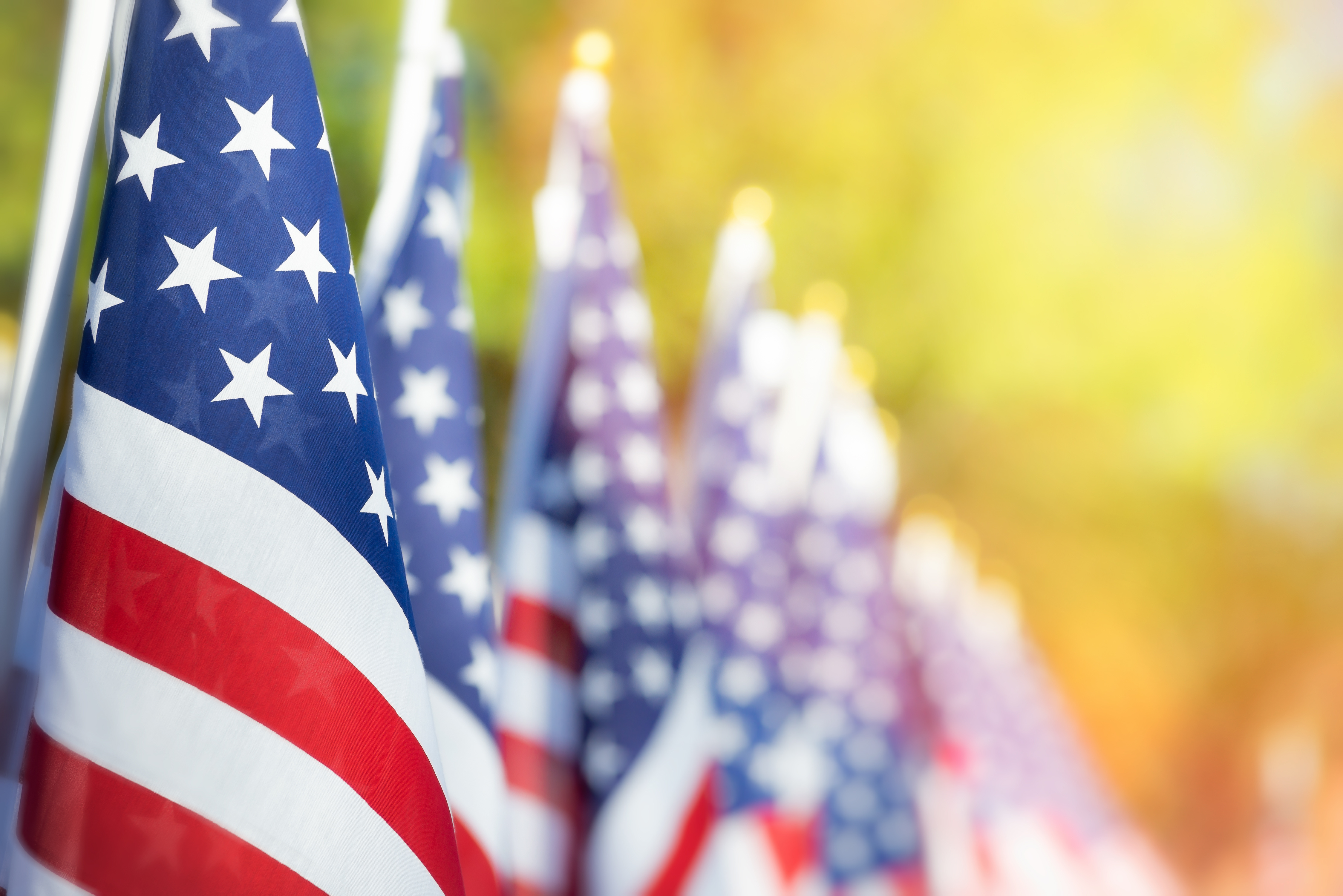 Veterans Day 2022 free meals, discounts and offers - VA News