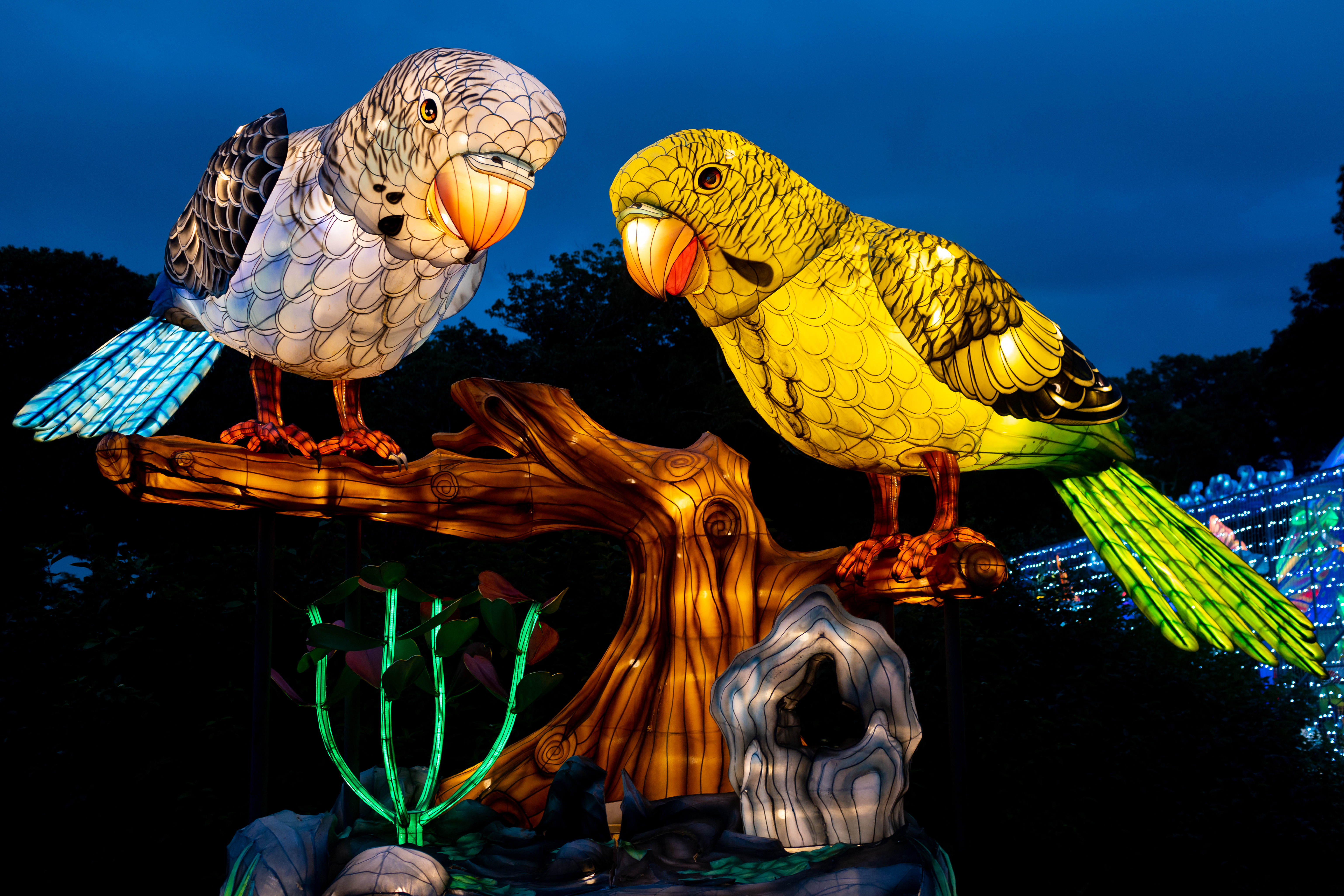 Holiday light experience will honor Lunar New Year at Houston