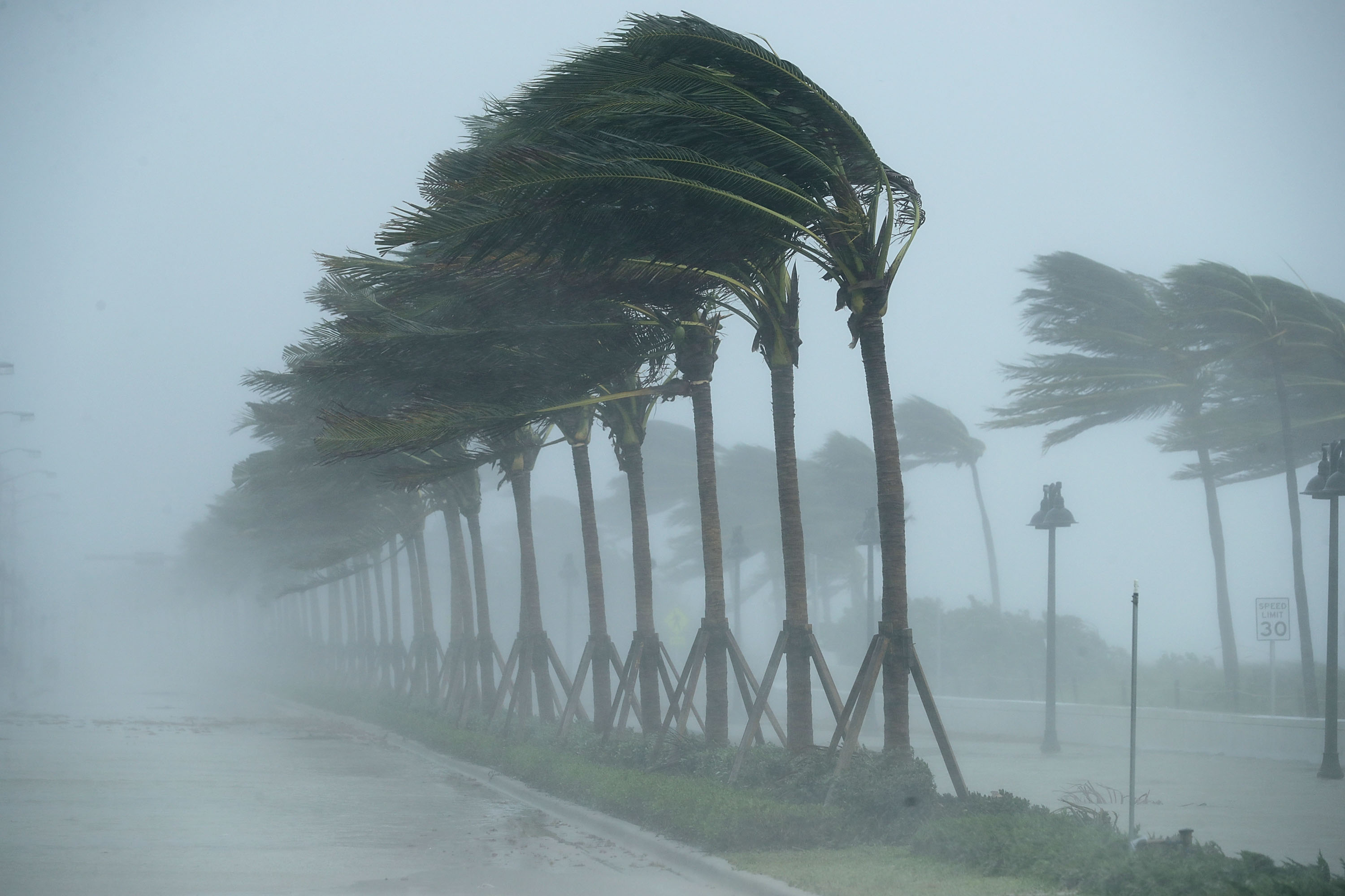 The Secret to Surviving After a Hurricane Is Hiding In Your