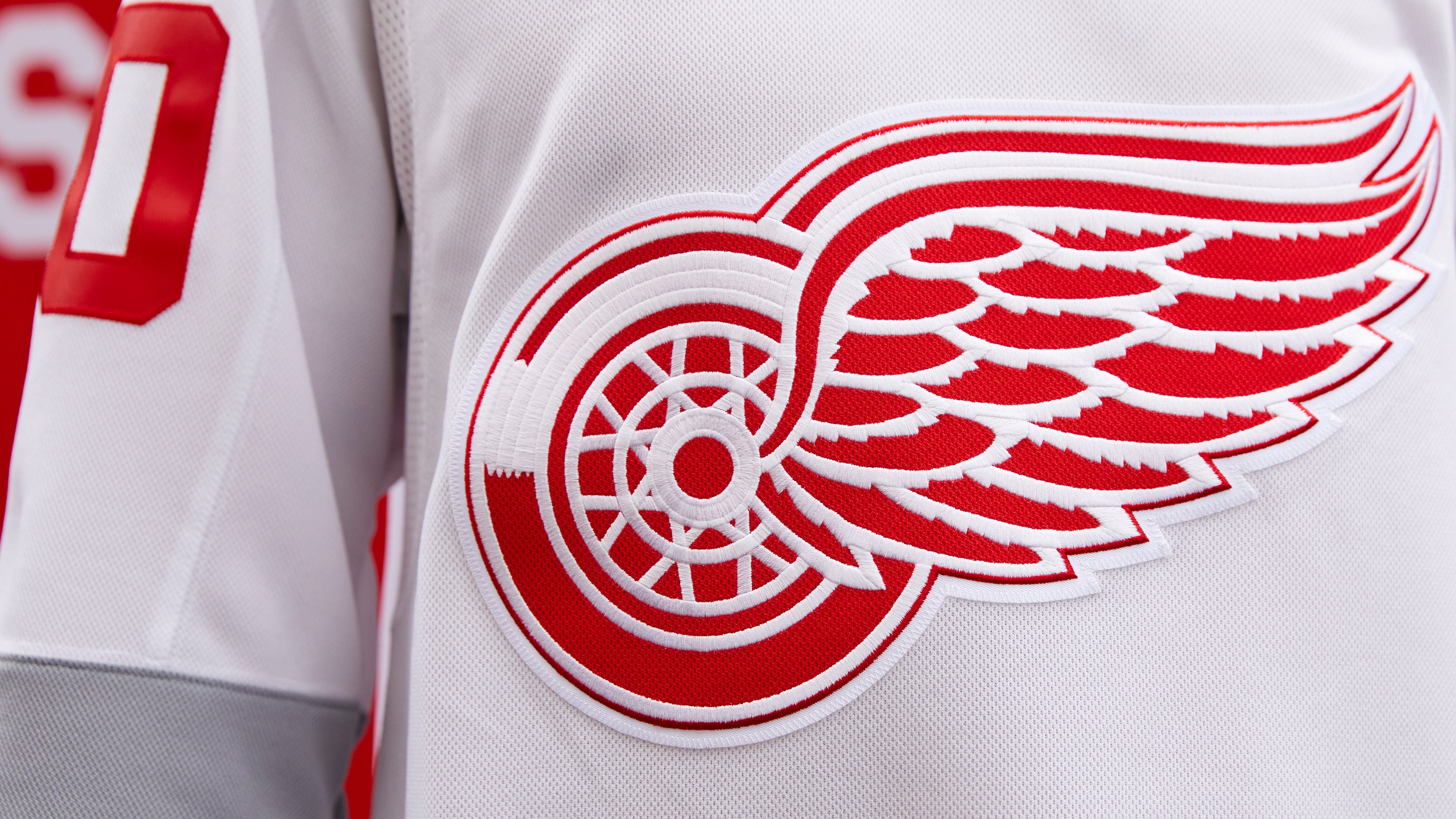 Giotto Dibondon vergeetachtig Illusie Red Wings roundup: The awful new 'practice' jersey, new NHL season update,  cool division changes