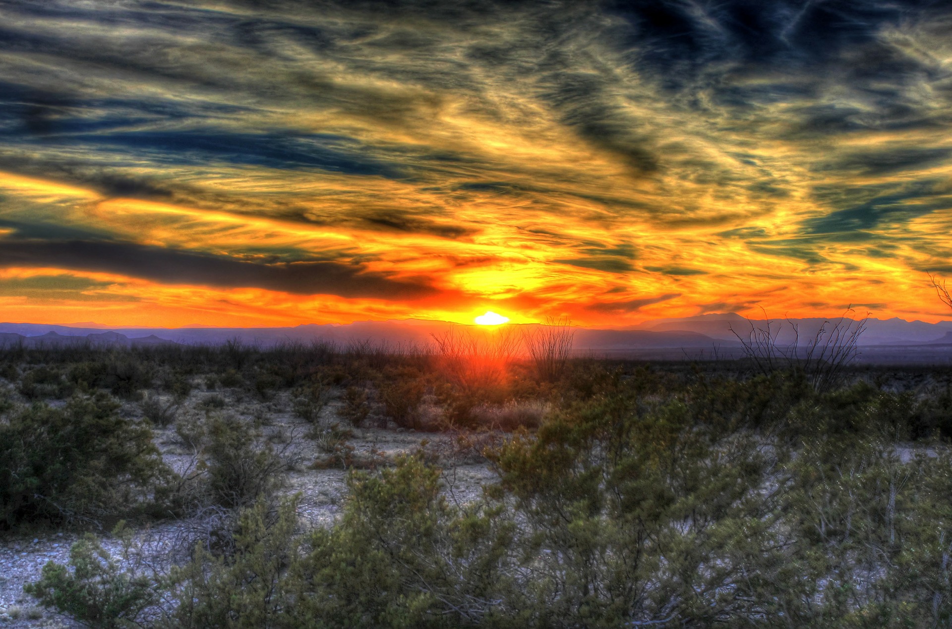 Special Report: a day in the life of a Texas Game Warden