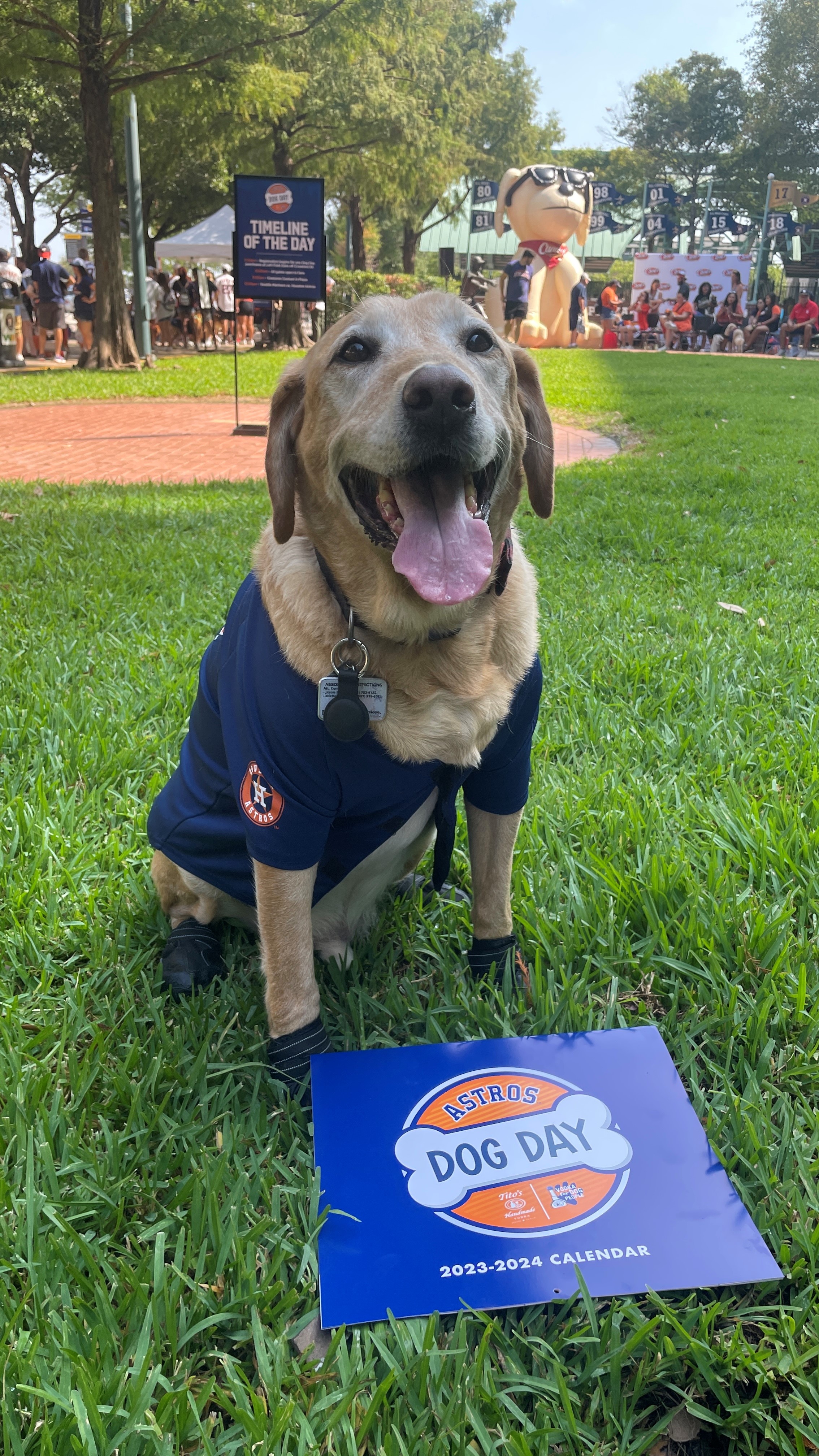 Pets love the Stros! Send photos of your fur baby supporting the