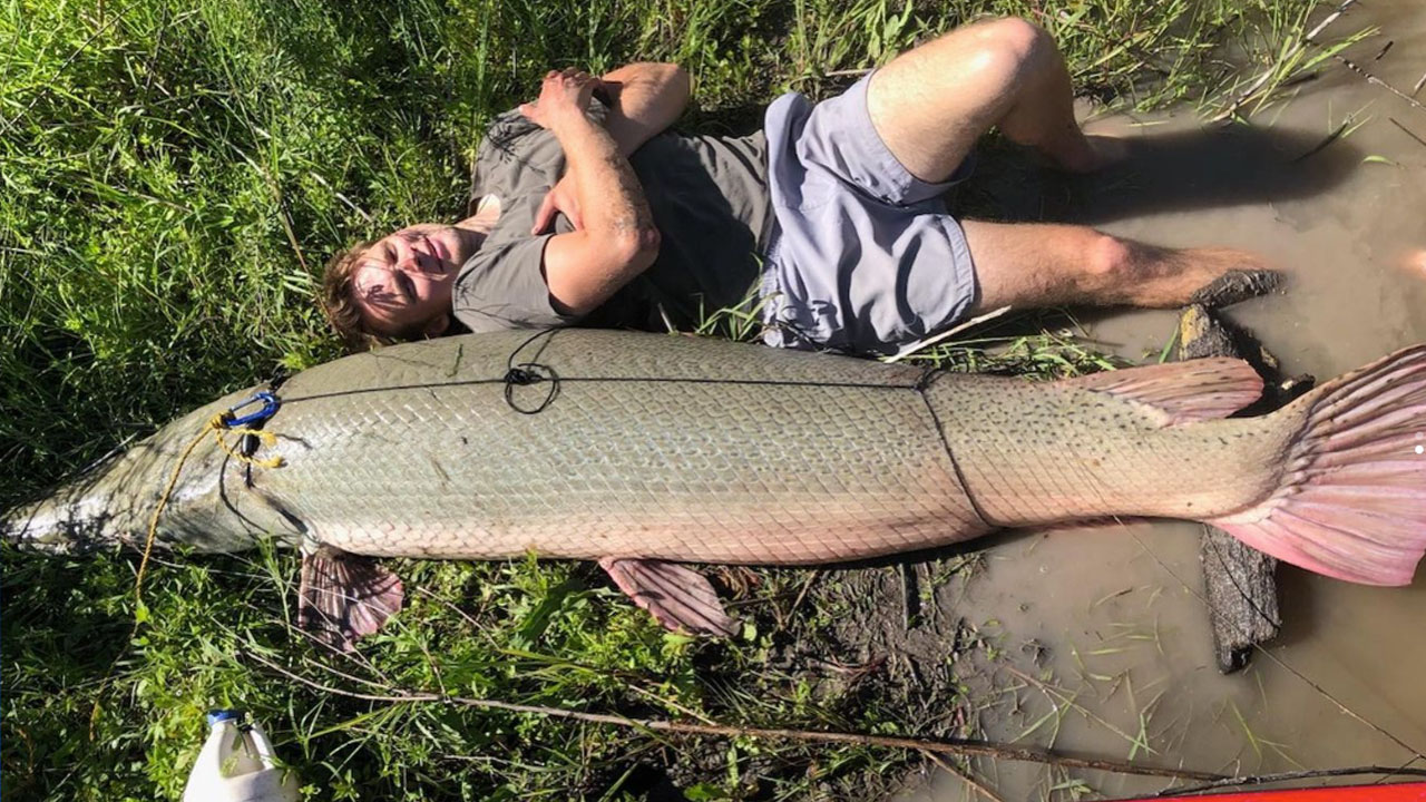 Fisherman Catches 200-Pound Catfish After Hour-Long Battle