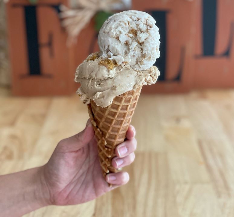 An insider's guide to the best ice cream shops in Houston